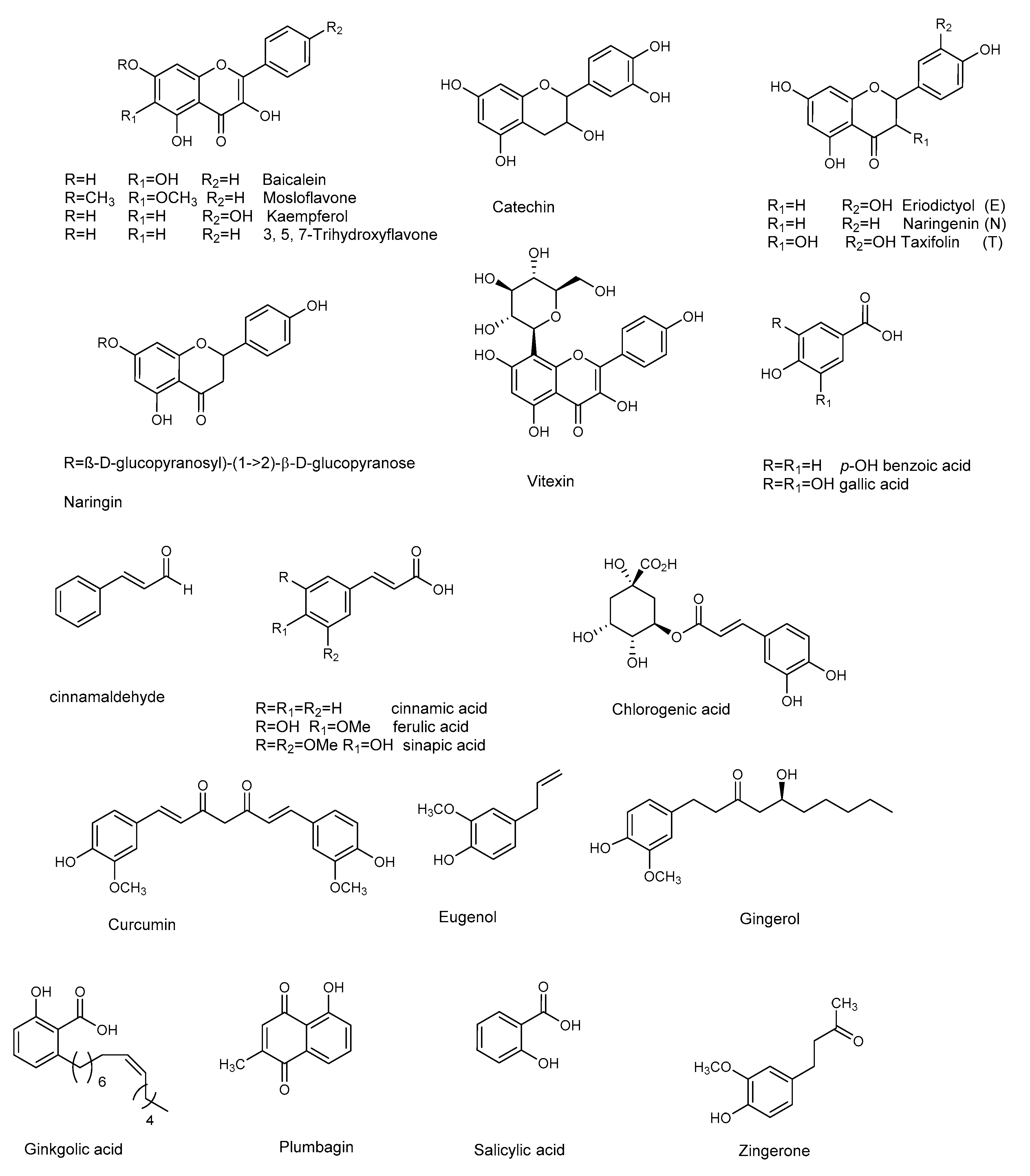 Molecules 25 05024 g004