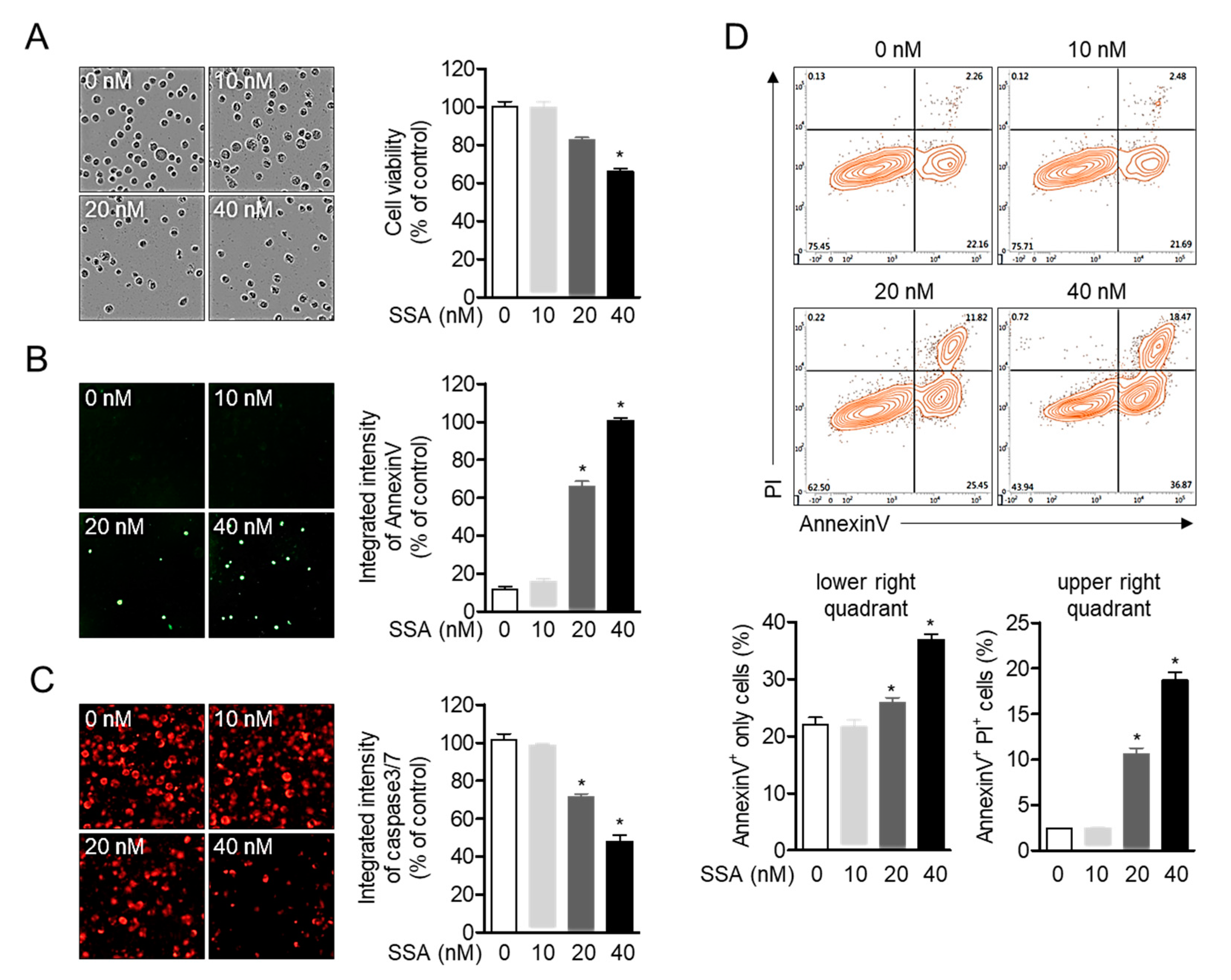Molecules 25 05031 g002