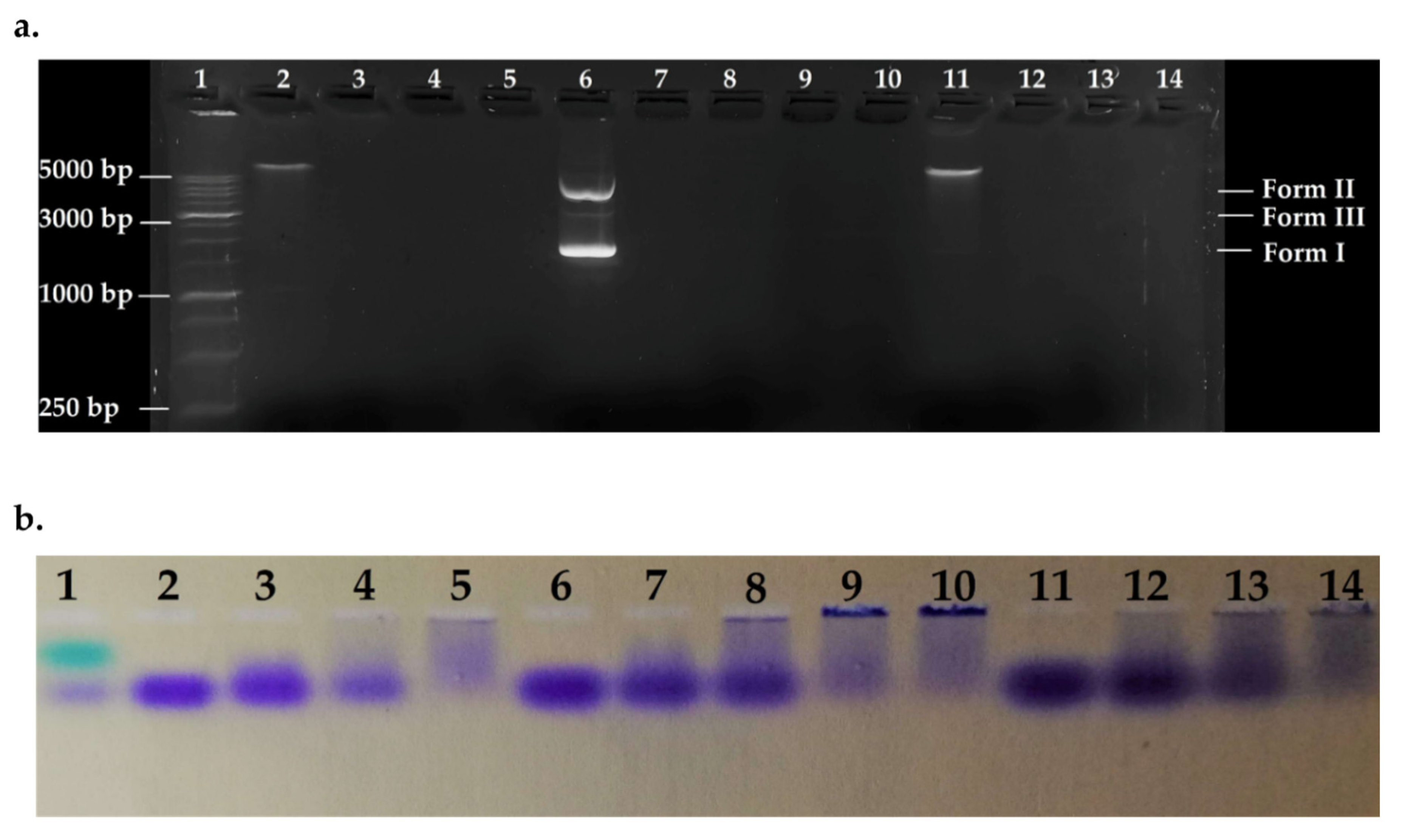 Molecules 25 05035 g005 Molecules 25 05035 g005