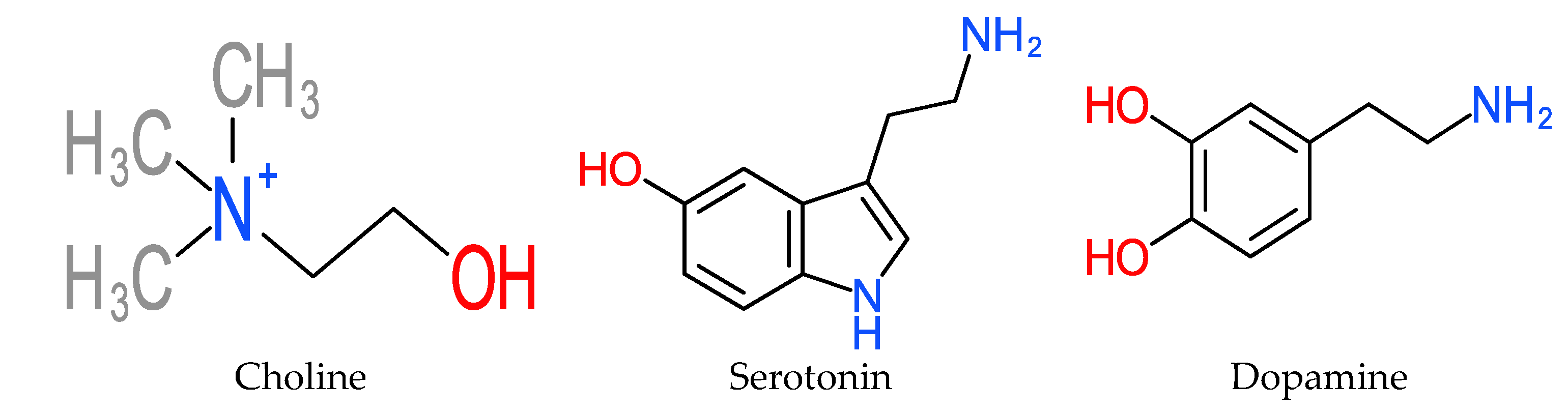 Molecules 25 05036 g021