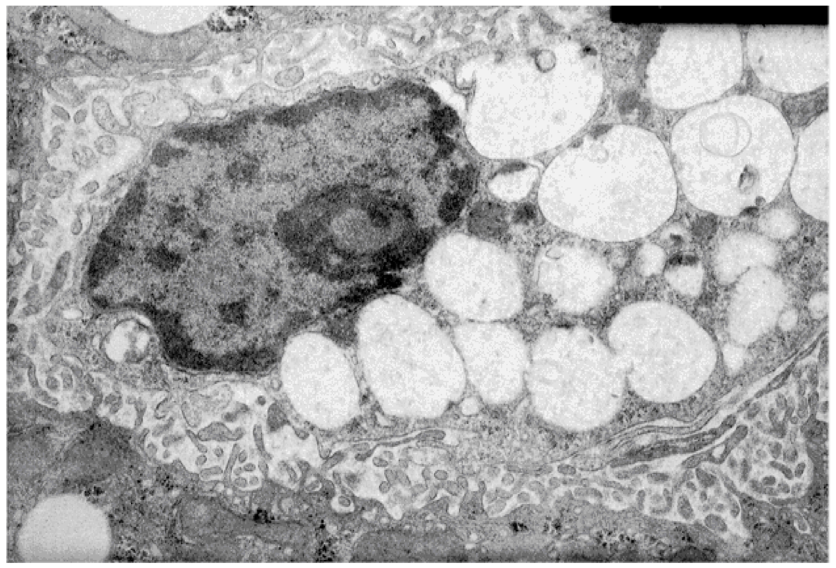 Molecules 25 05052 g002