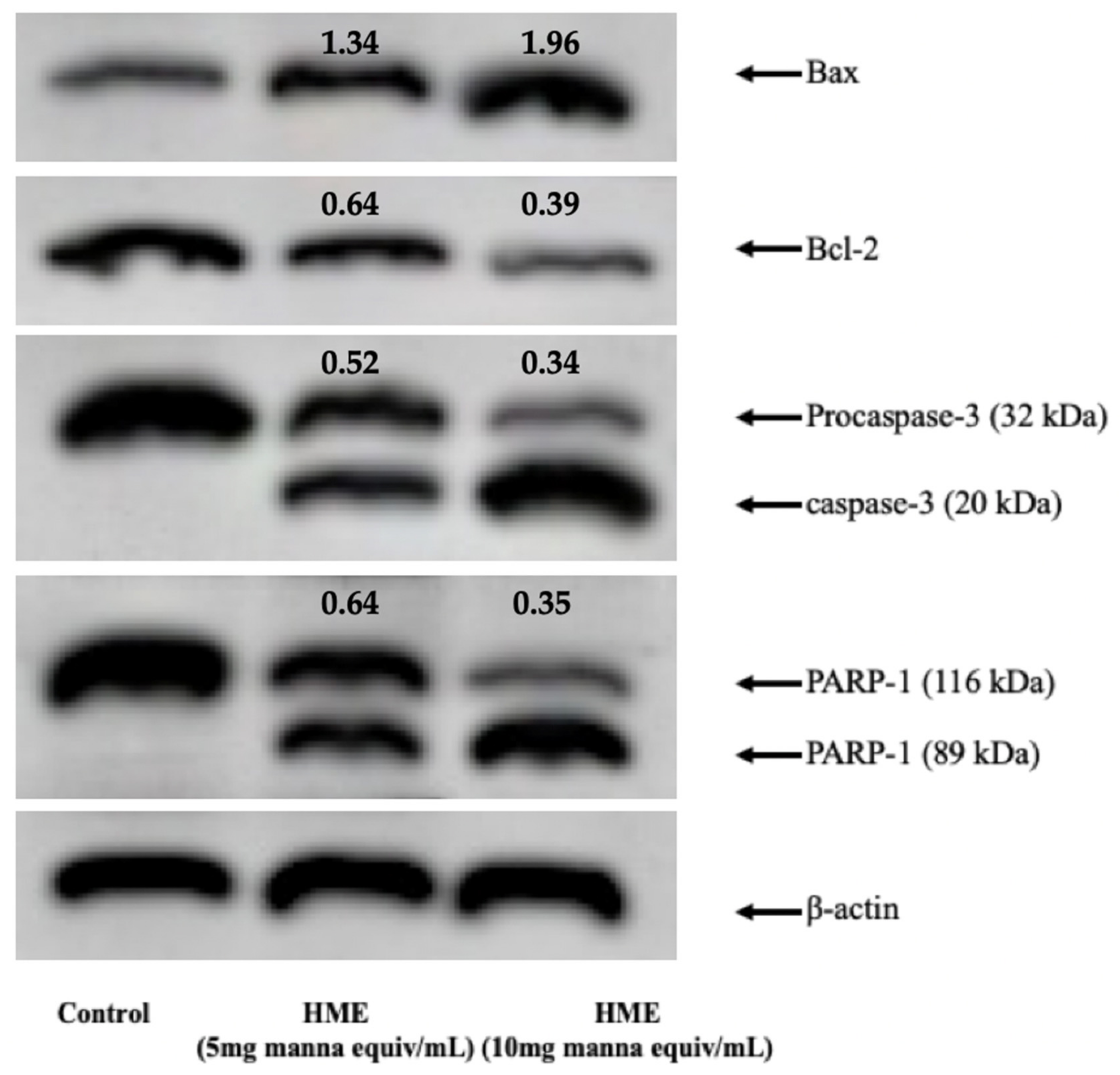 Molecules 25 05055 g005 Molecules 25 05055 g005