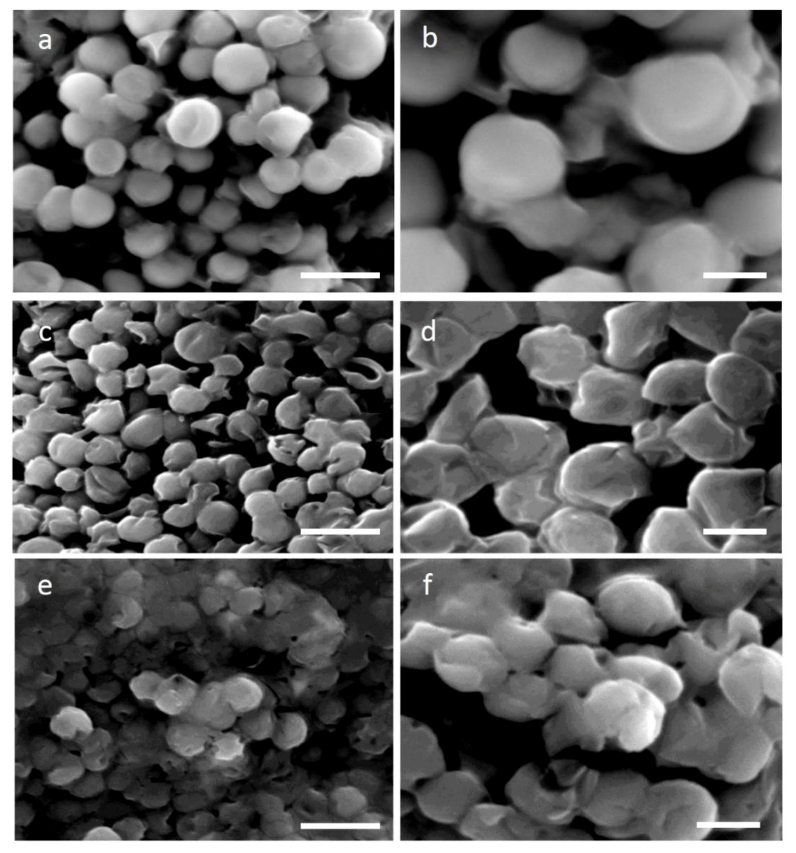 Molecules 25 05068 g005