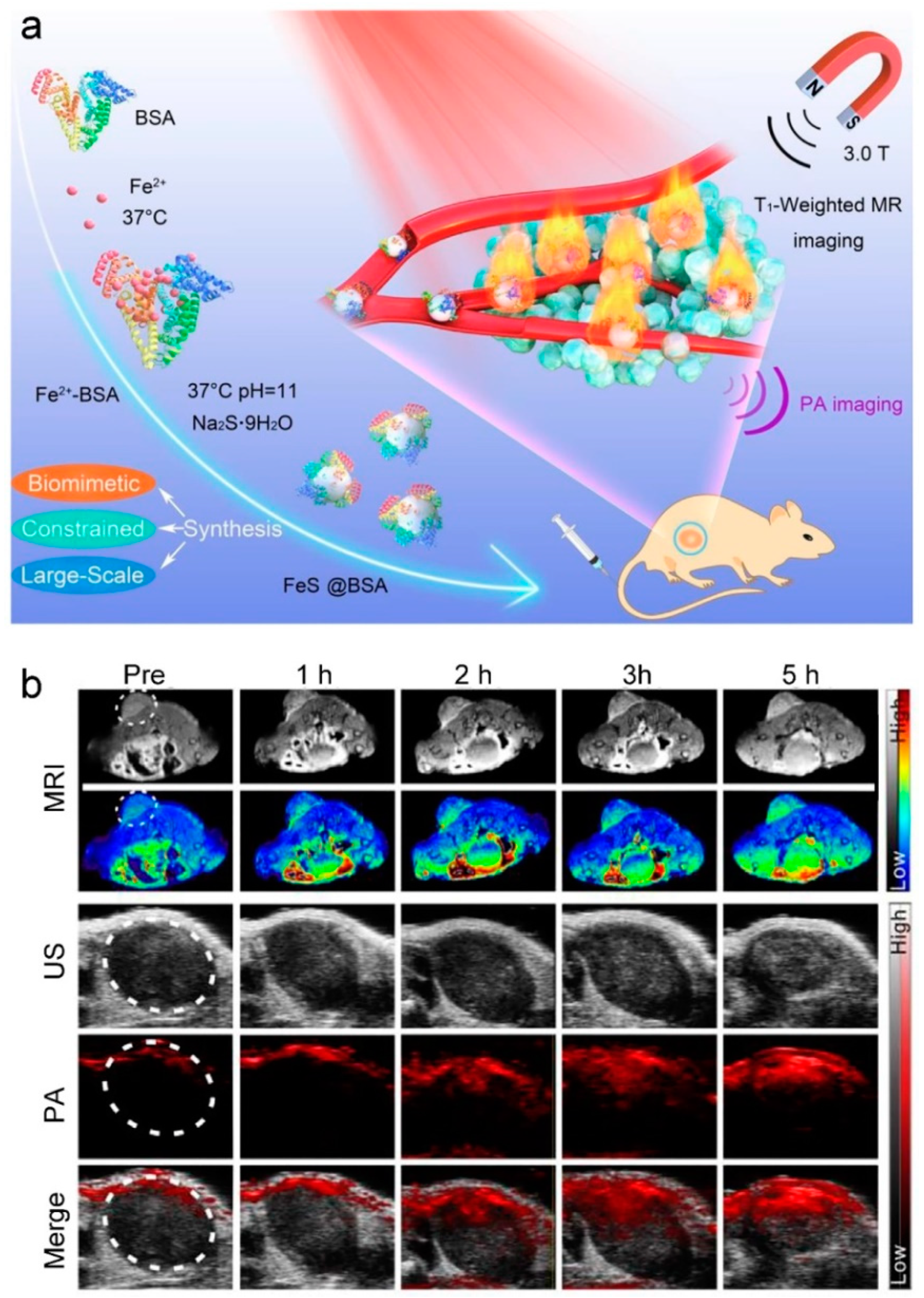 Molecules 25 05072 g010 Molecules 25 05072 g010