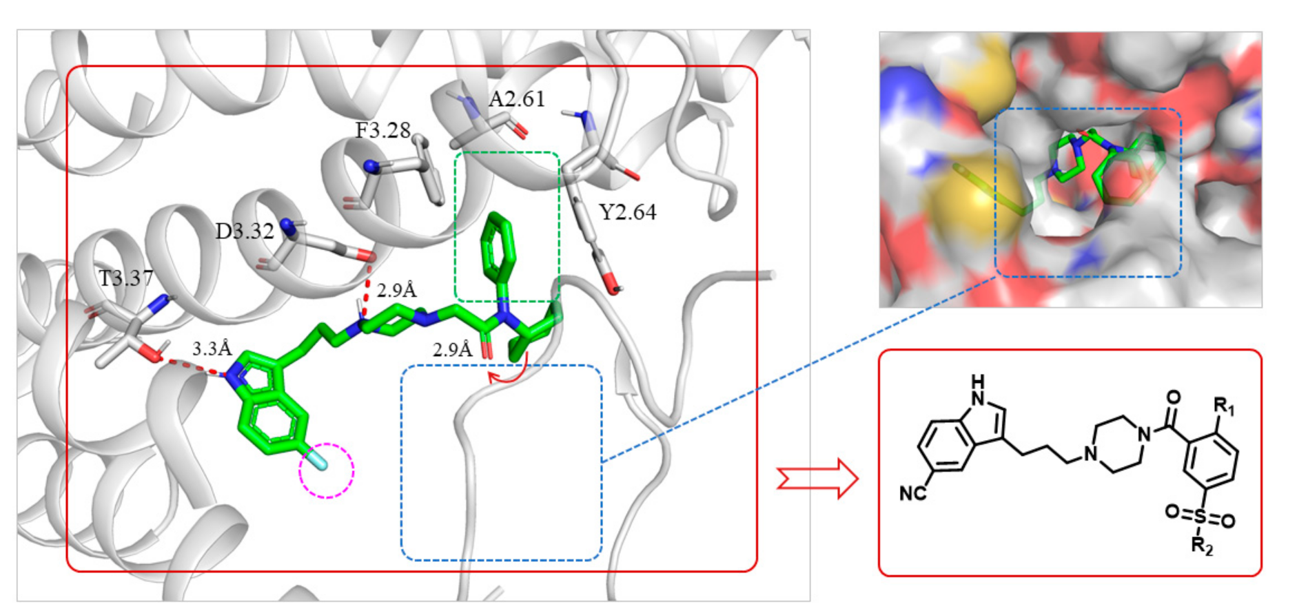 Molecules 25 05078 g001