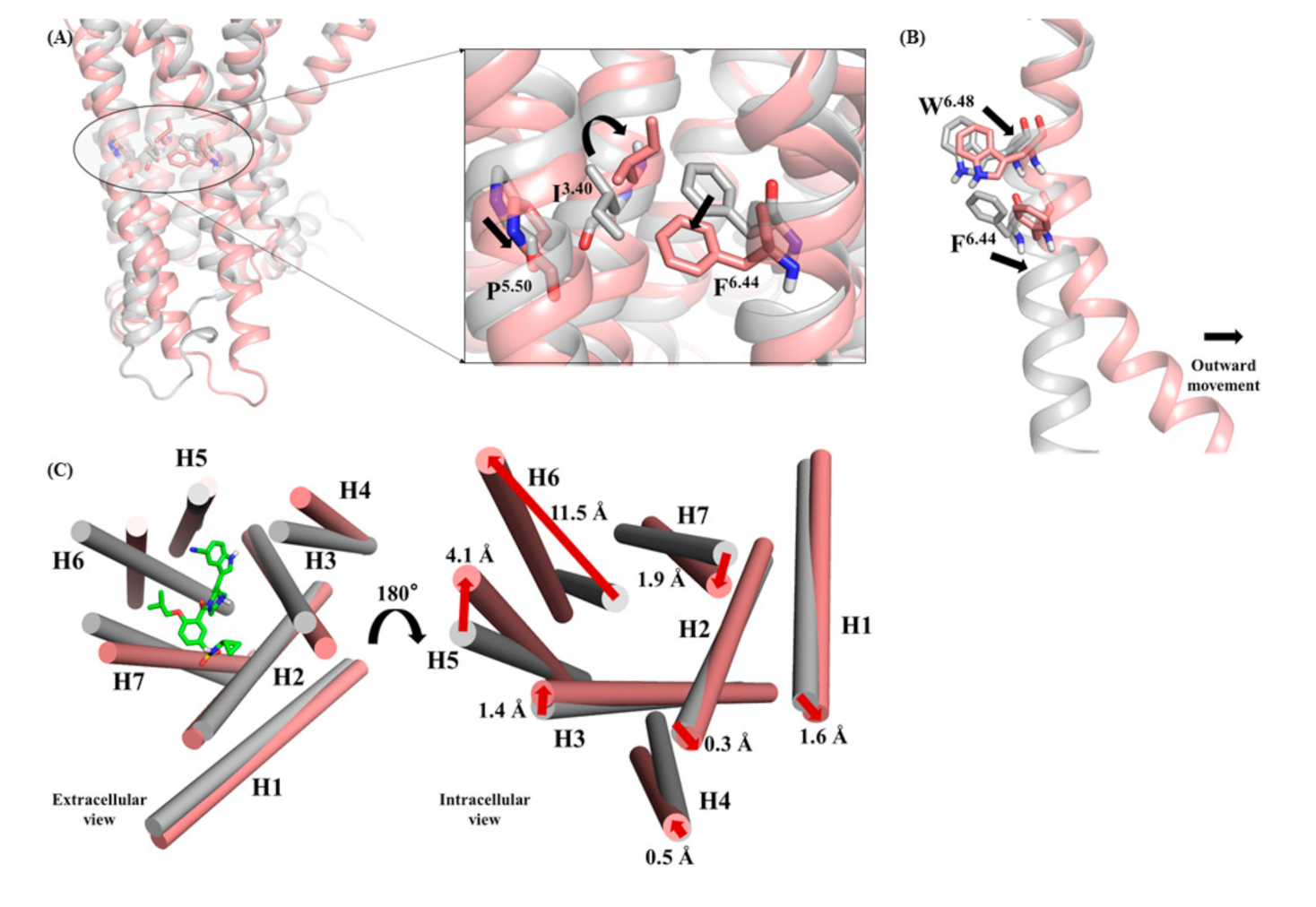 Molecules 25 05078 g005