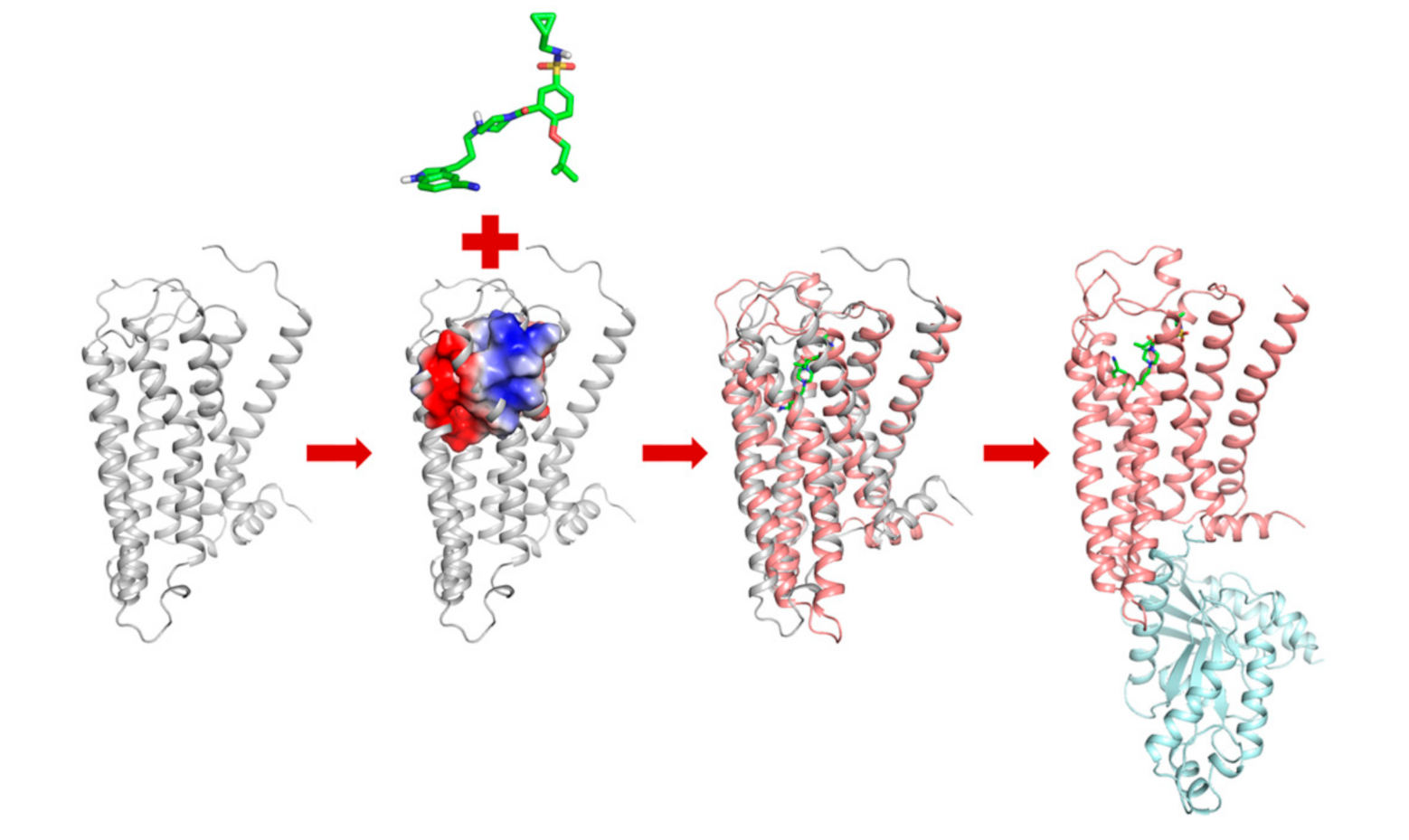 Molecules 25 05078 g006