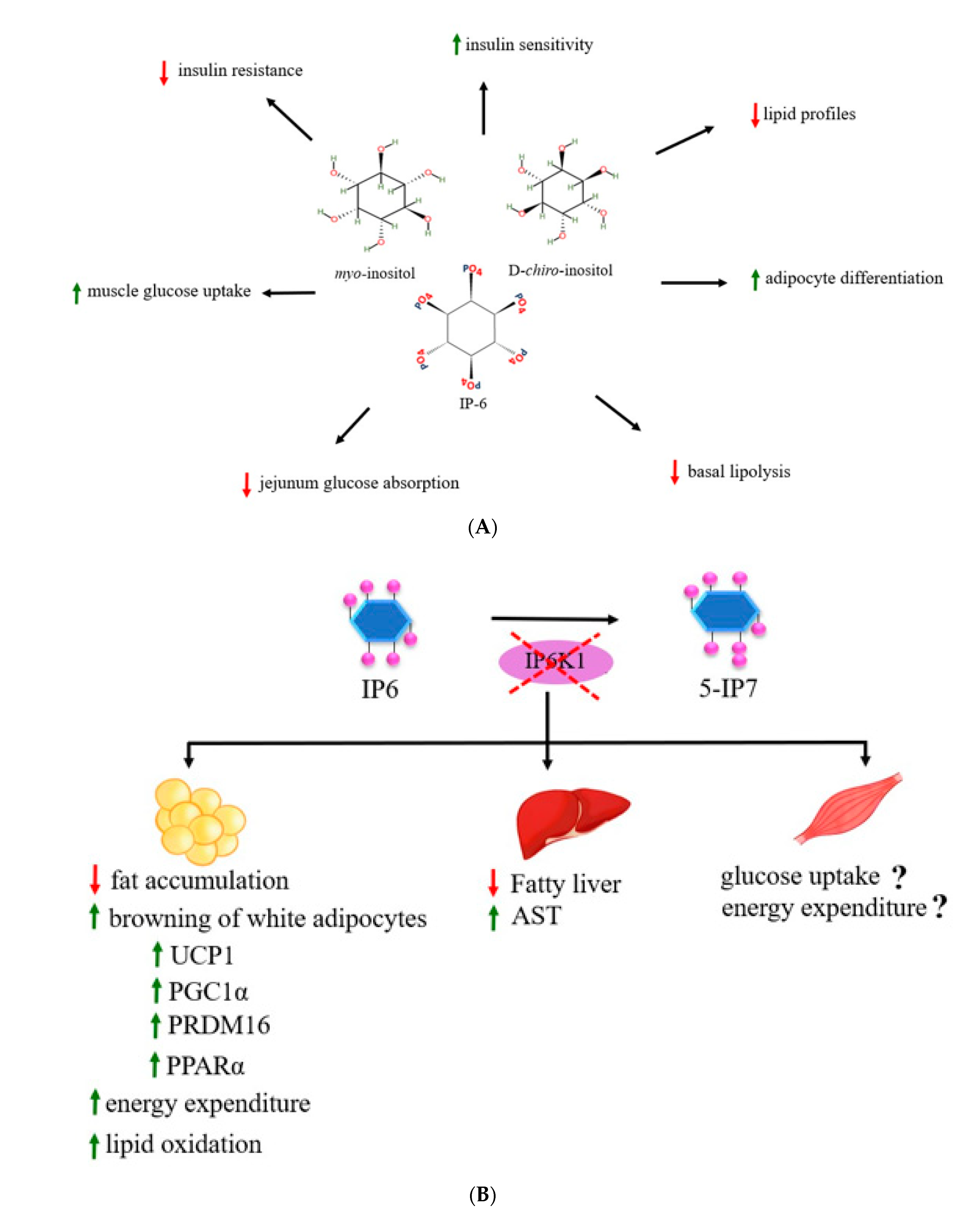Molecules 25 05079 g005