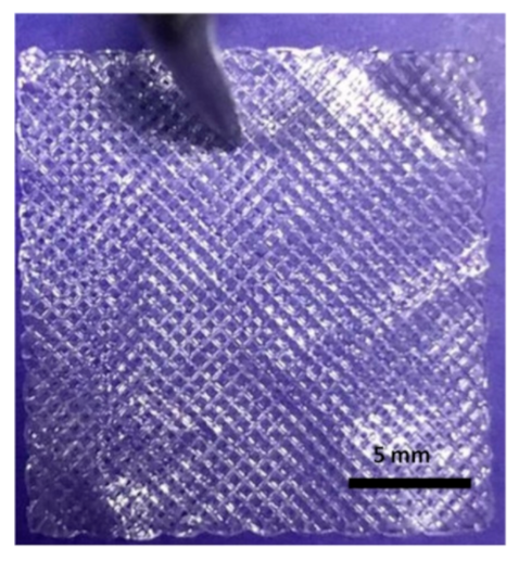 Molecules 25 05082 i001 Molecules 25 05082 i001