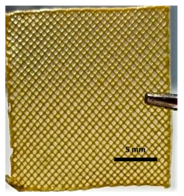 Molecules 25 05082 i003 Molecules 25 05082 i003