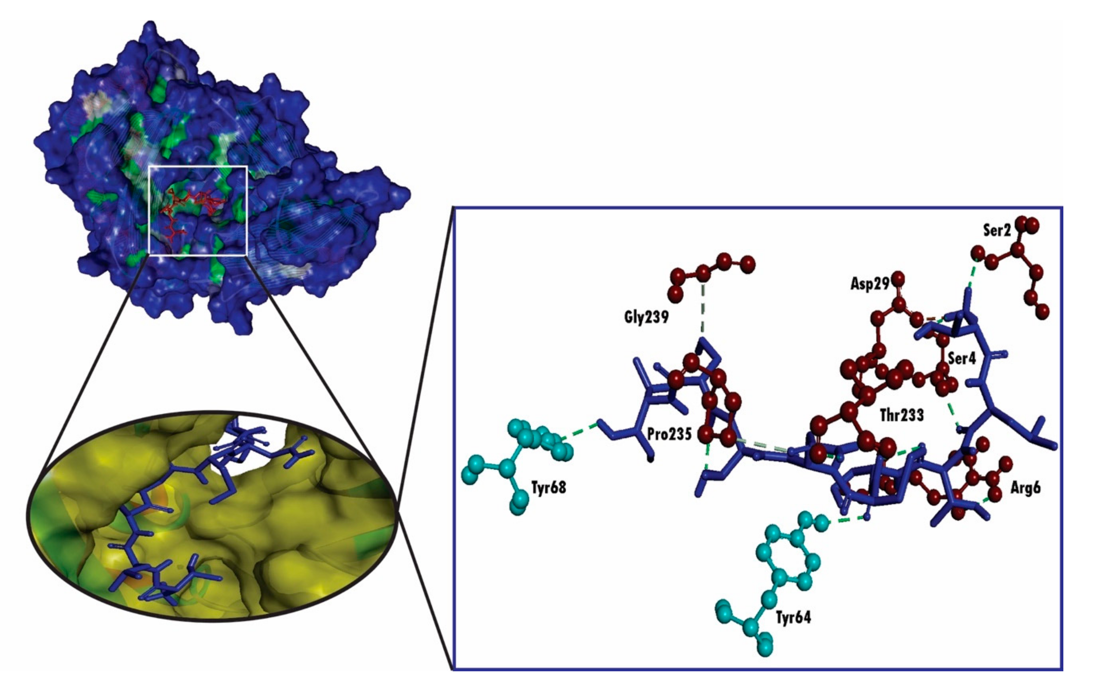 Molecules 25 05088 g005 Molecules 25 05088 g005