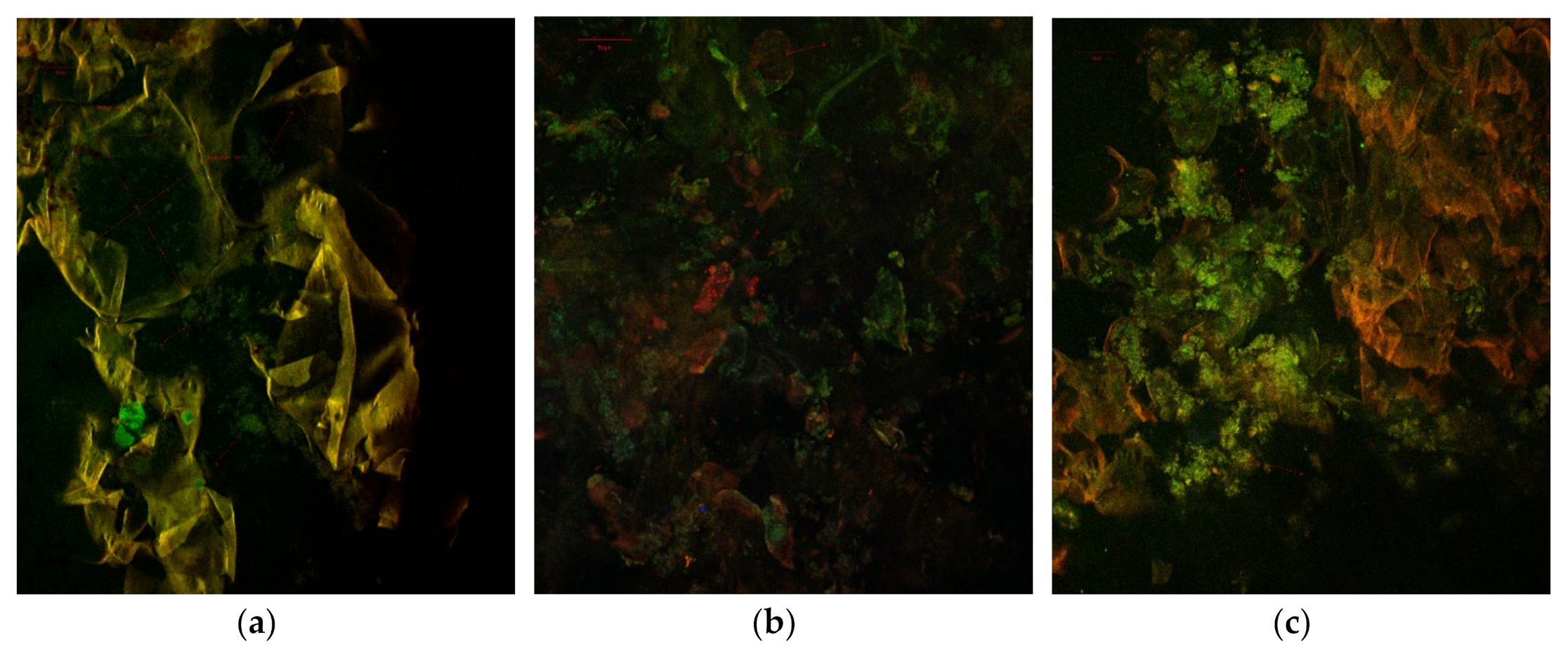 Molecules 25 05090 g002 Molecules 25 05090 g002