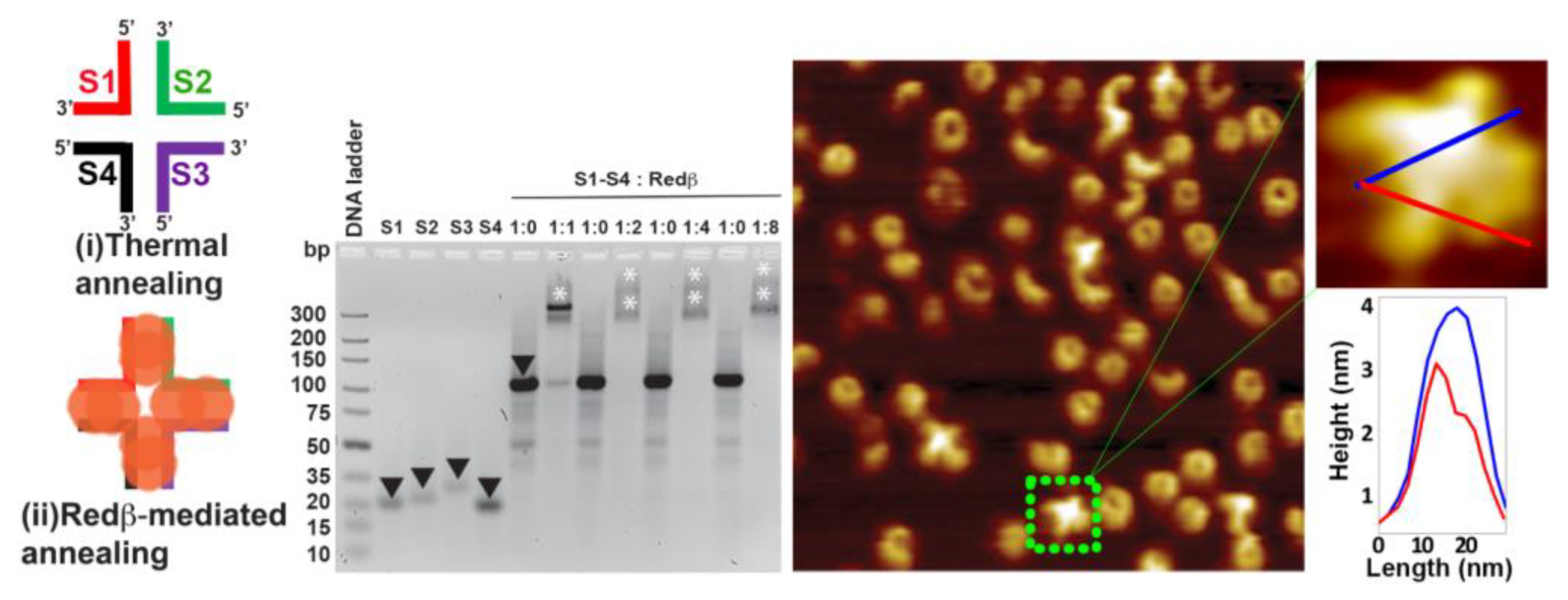 Molecules 25 05099 g002 Molecules 25 05099 g002