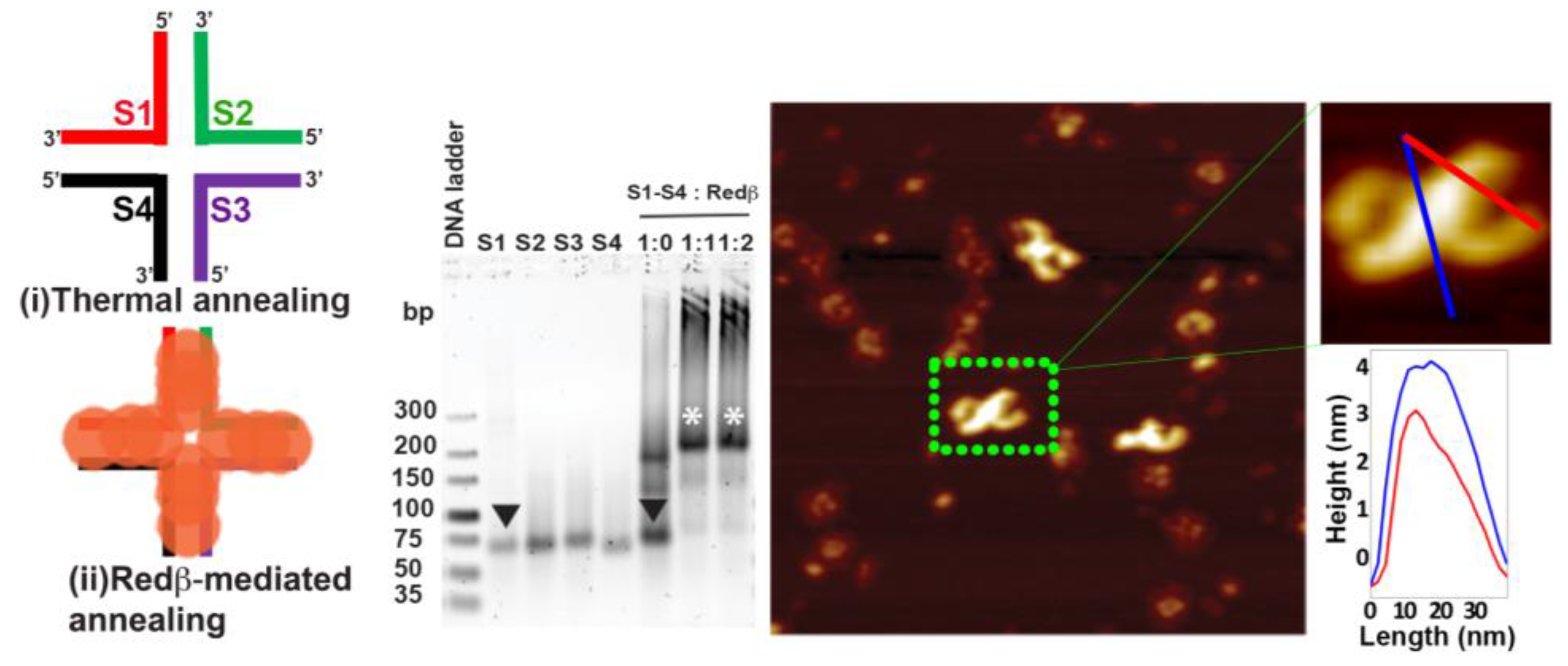 Molecules 25 05099 g003 Molecules 25 05099 g003