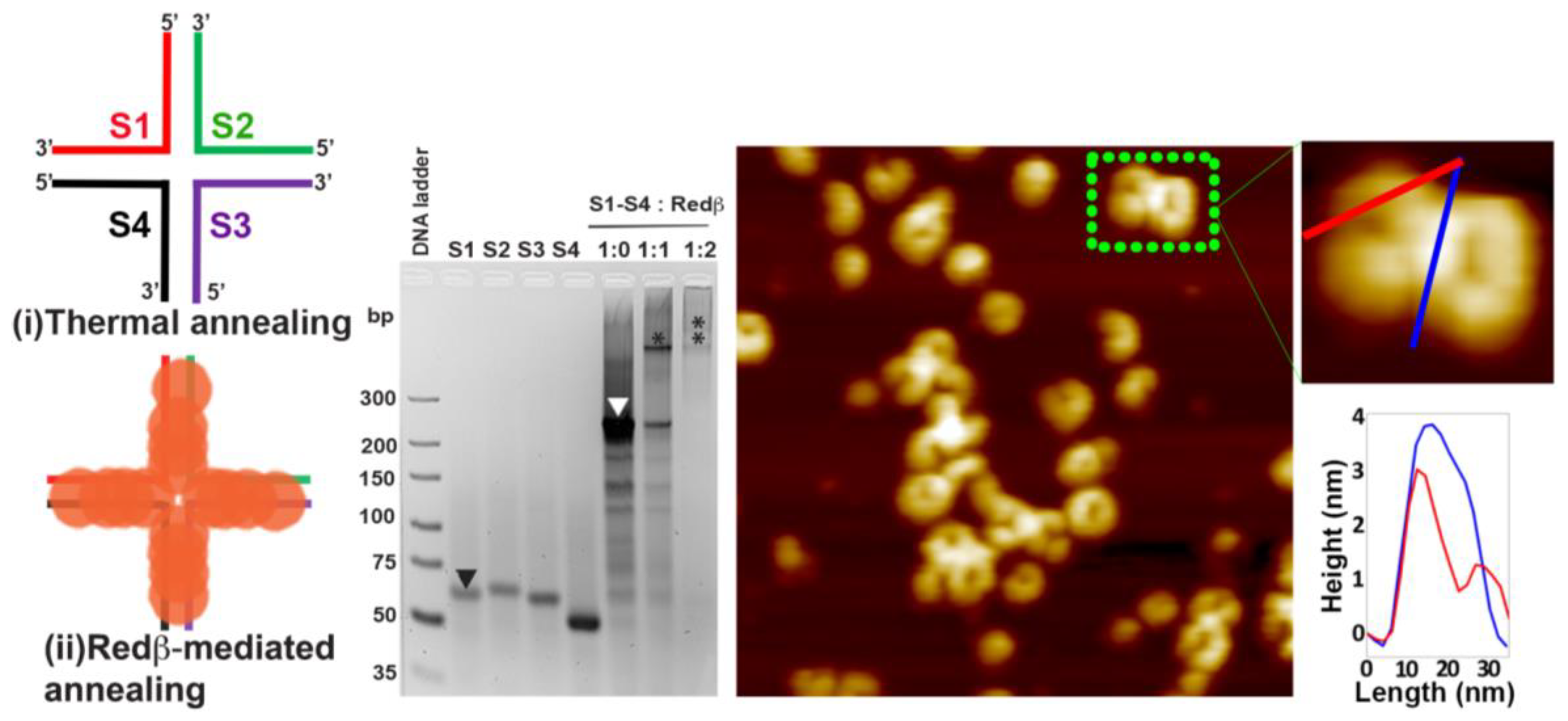 Molecules 25 05099 g004 Molecules 25 05099 g004