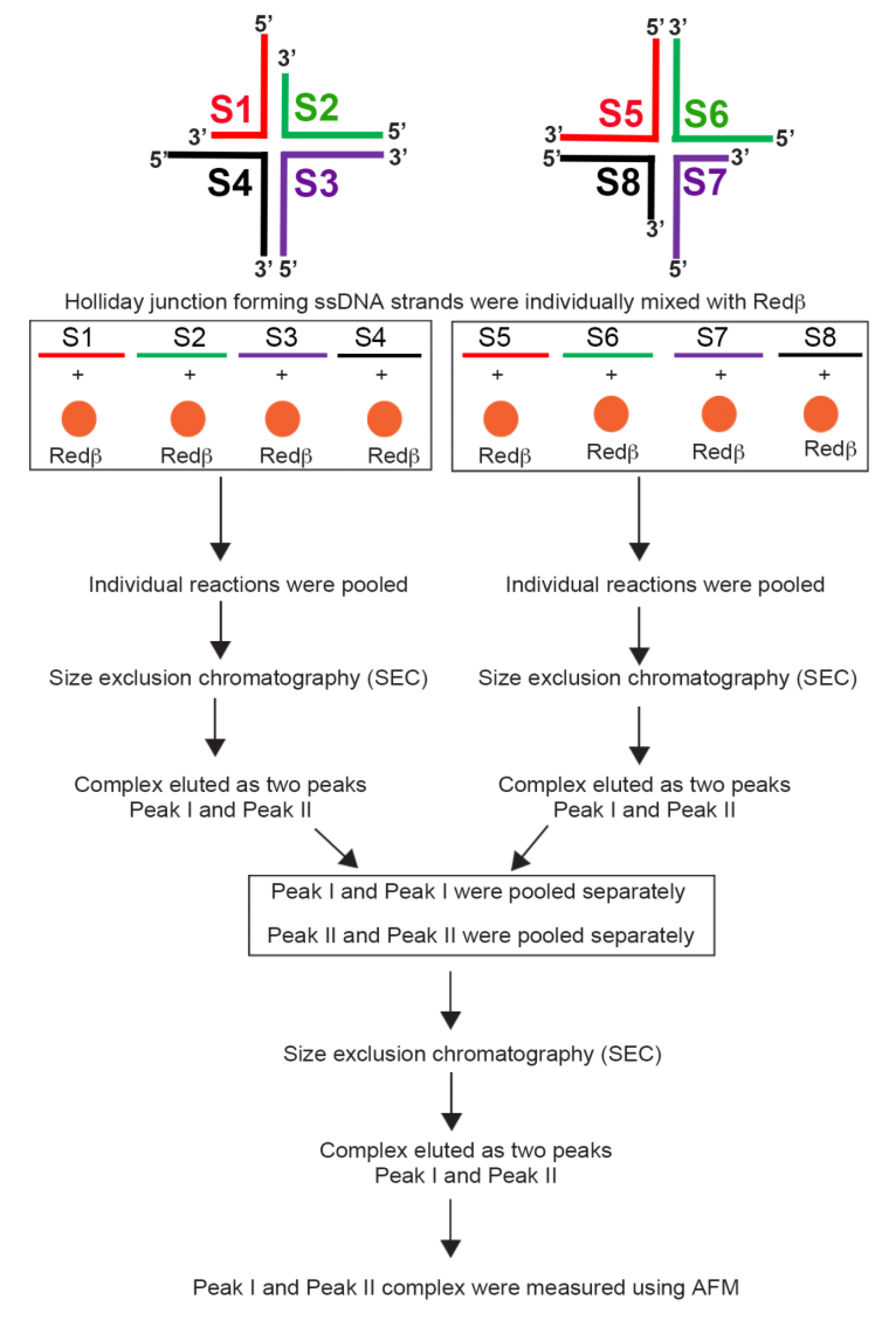 Molecules 25 05099 g005 Molecules 25 05099 g005