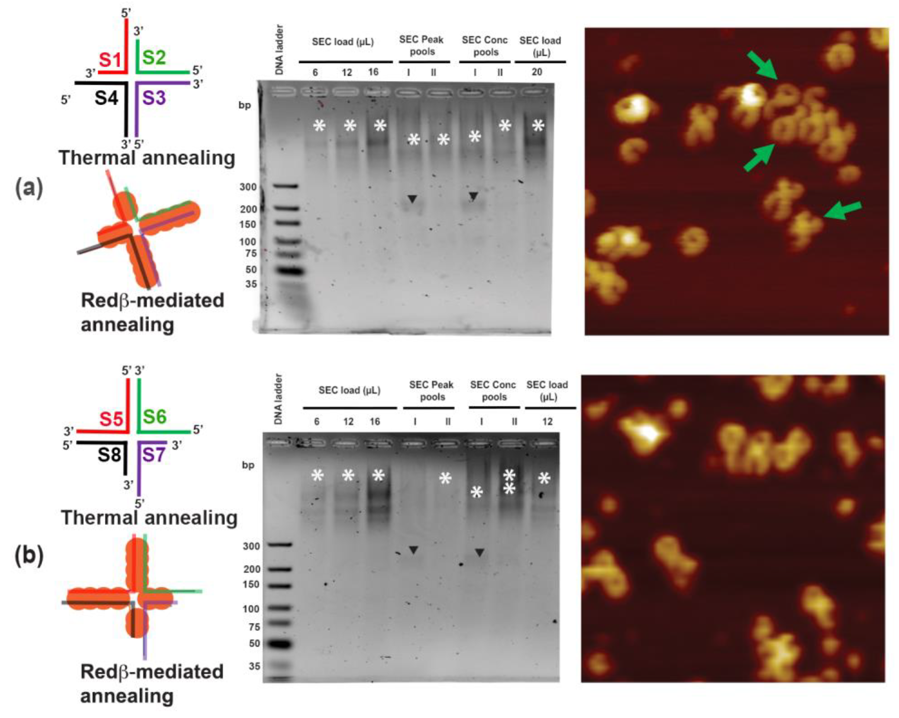 Molecules 25 05099 g006 Molecules 25 05099 g006