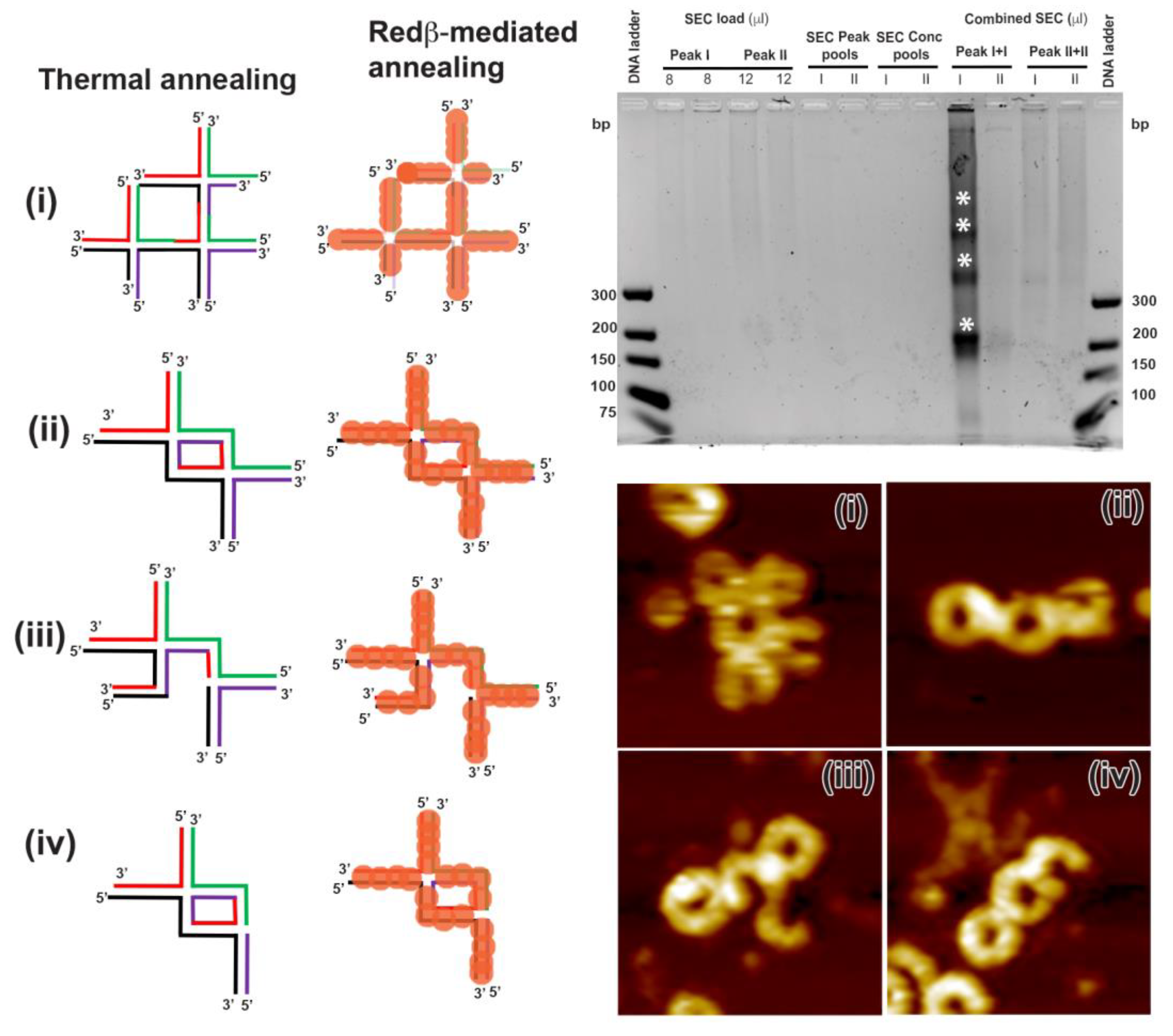 Molecules 25 05099 g007 Molecules 25 05099 g007