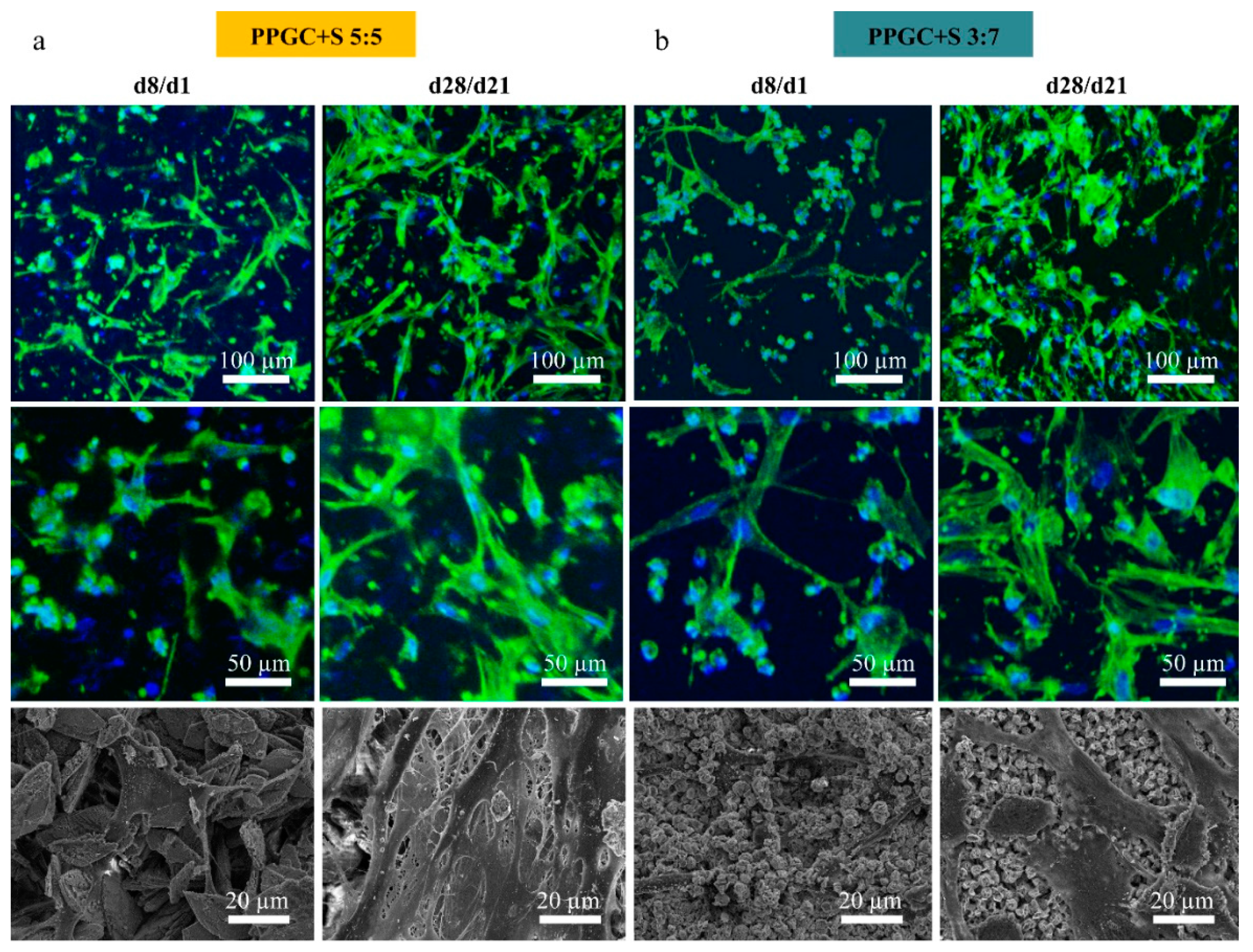 Molecules 25 05103 g003