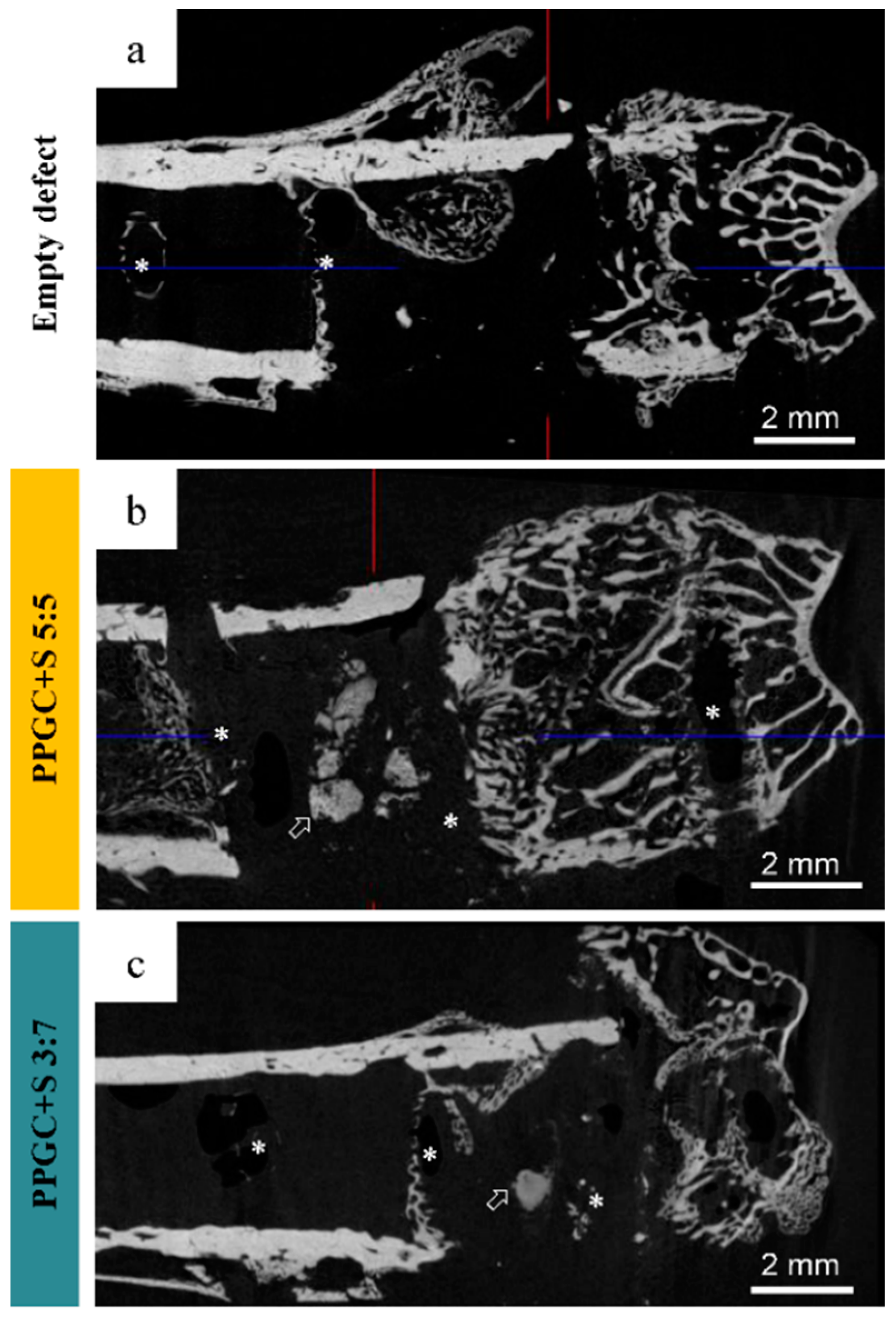 Molecules 25 05103 g005