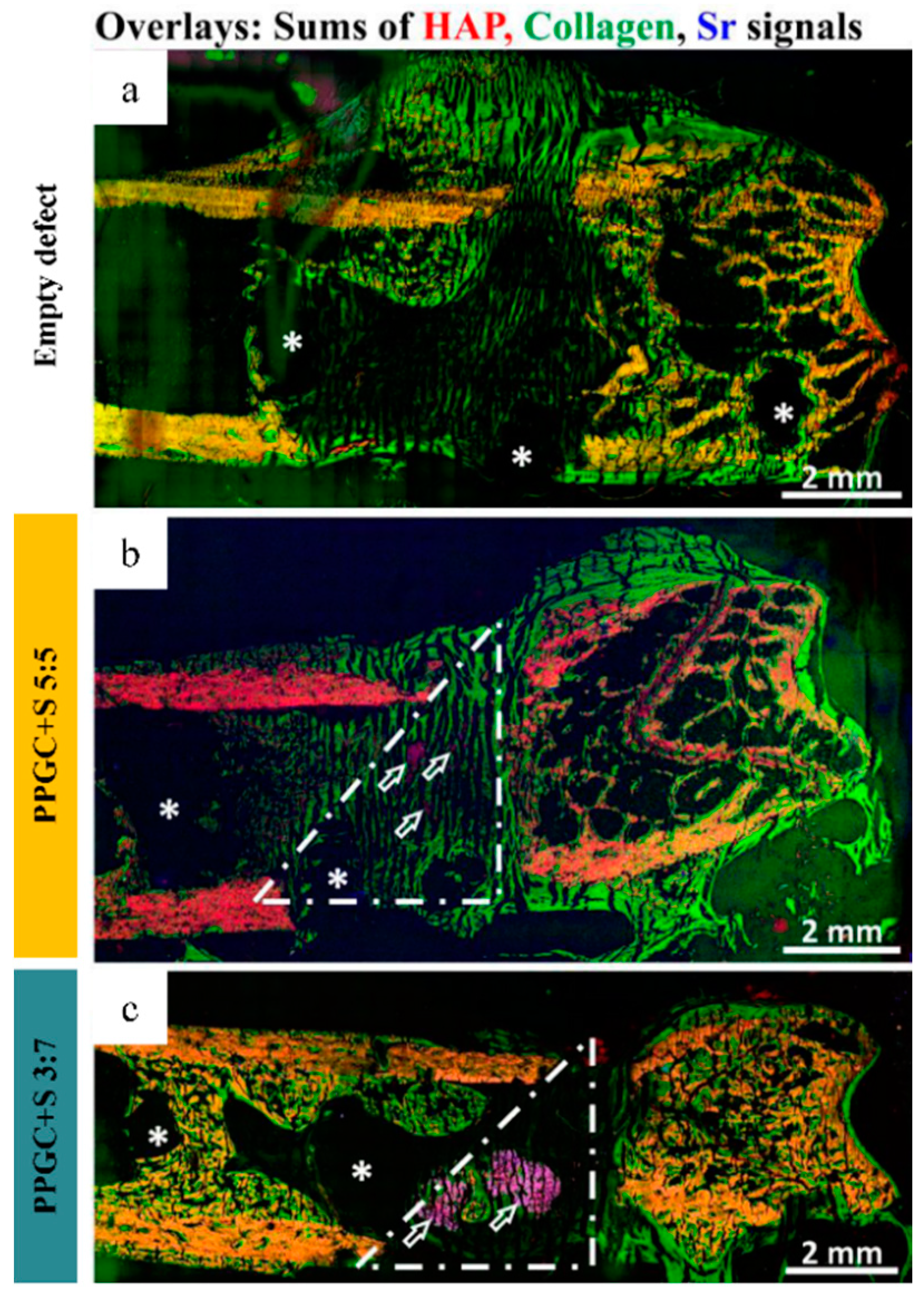 Molecules 25 05103 g006