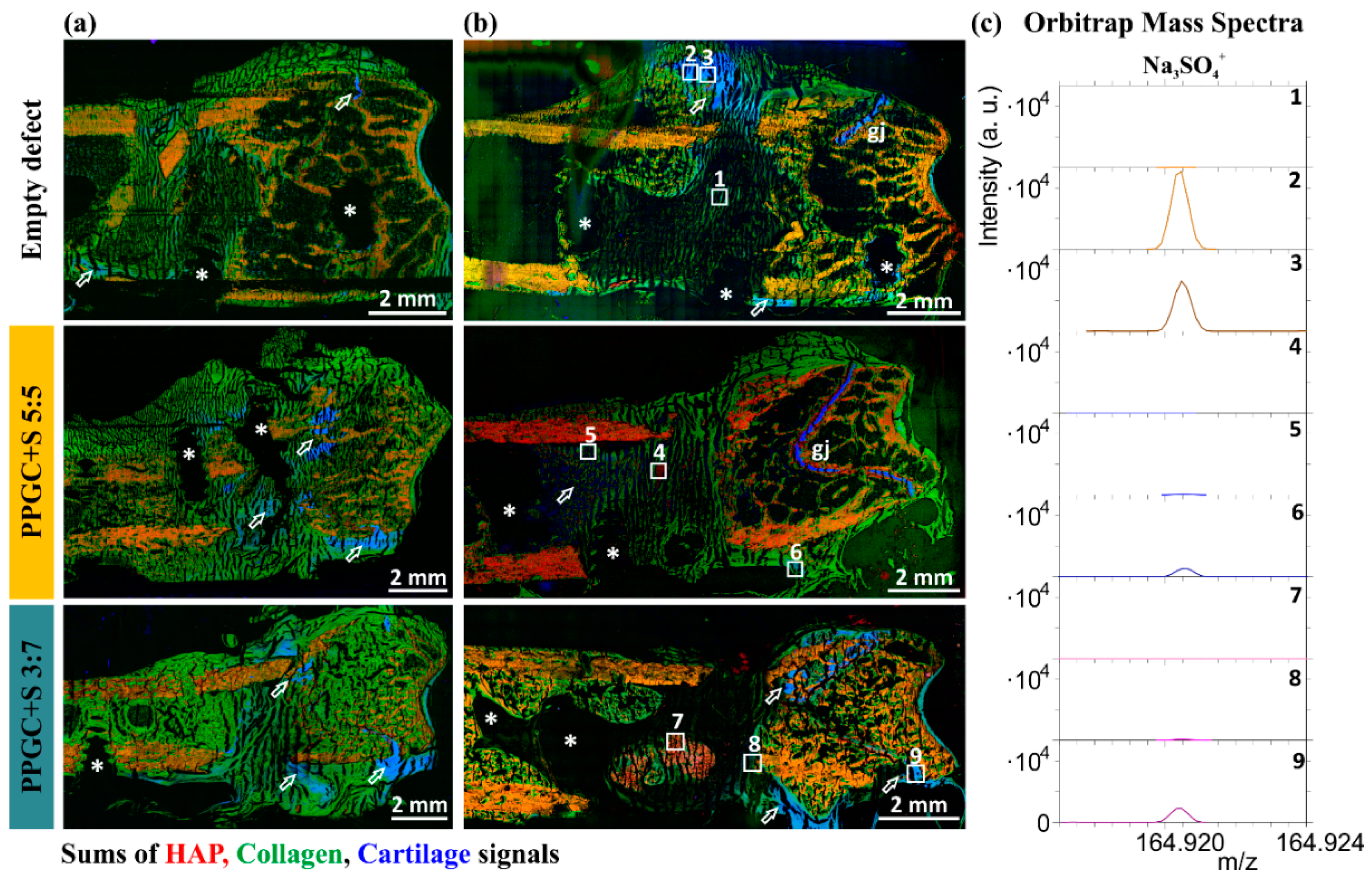 Molecules 25 05103 g007