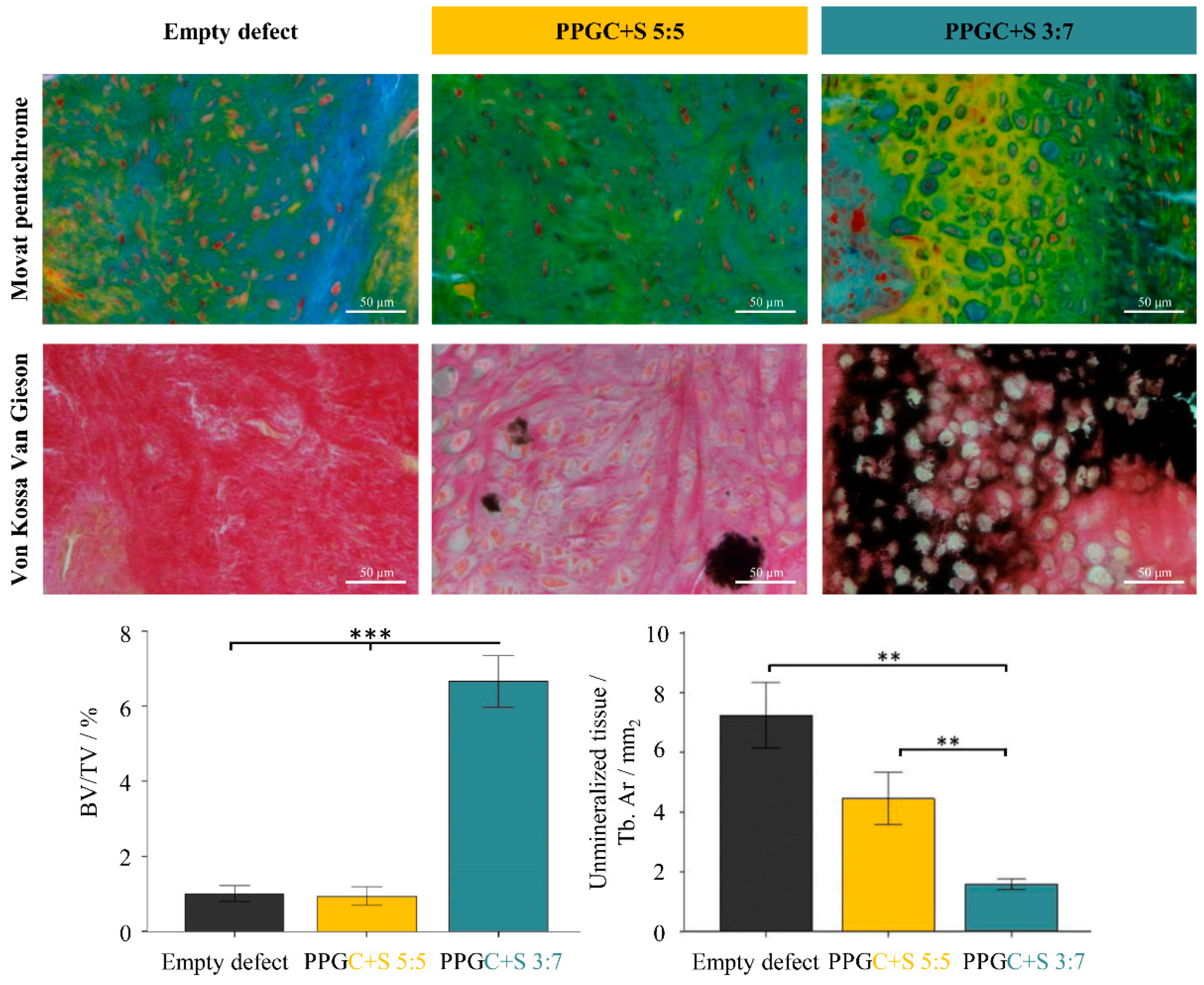 Molecules 25 05103 g008
