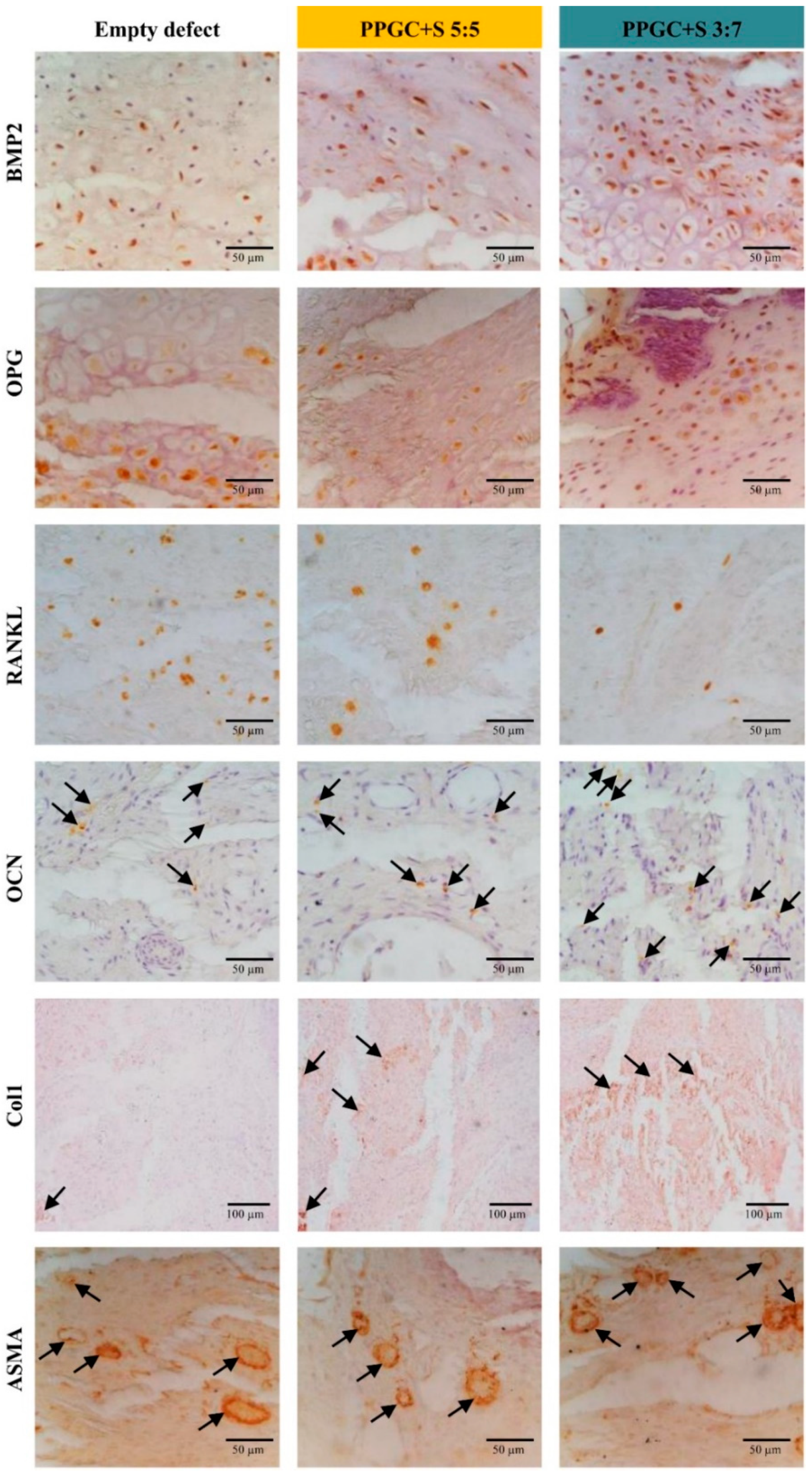 Molecules 25 05103 g009
