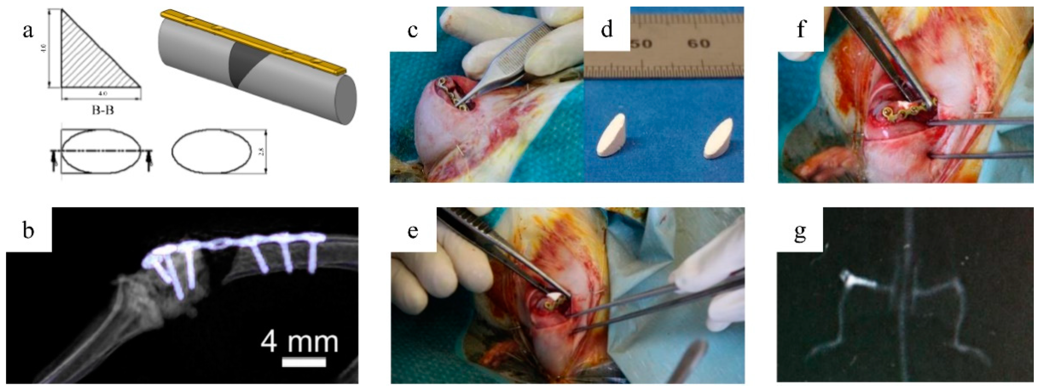 Molecules 25 05103 g012