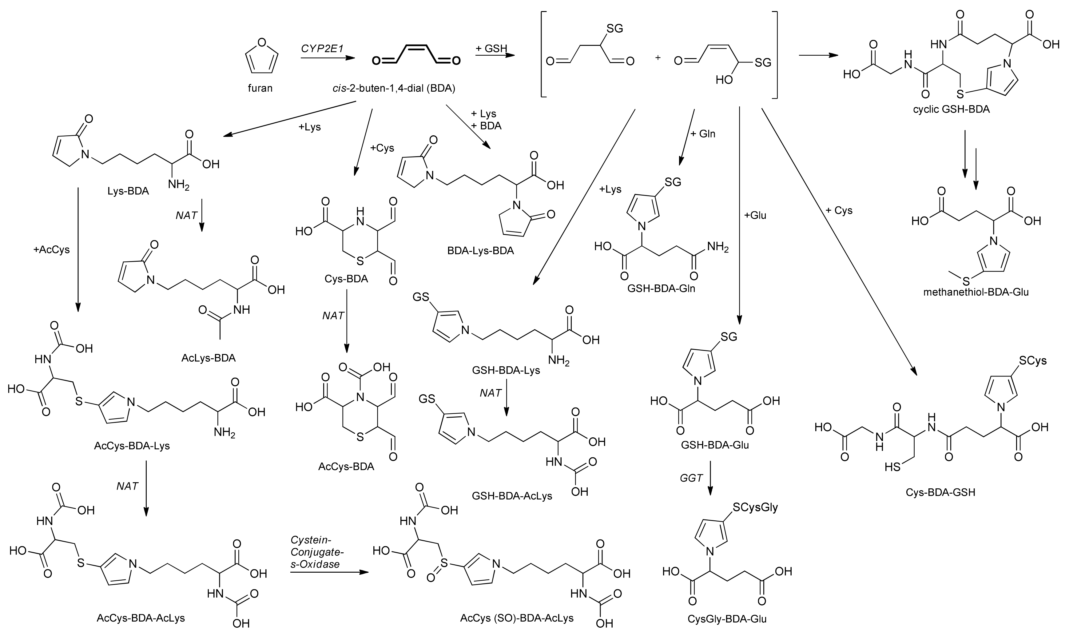 Molecules 25 05104 g010 Molecules 25 05104 g010