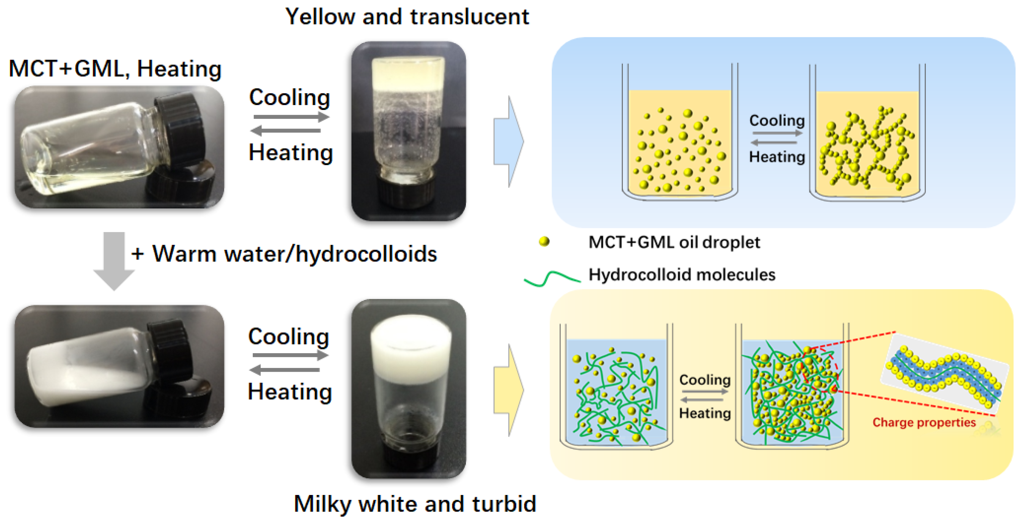 Molecules 25 05117 g001 Molecules 25 05117 g001