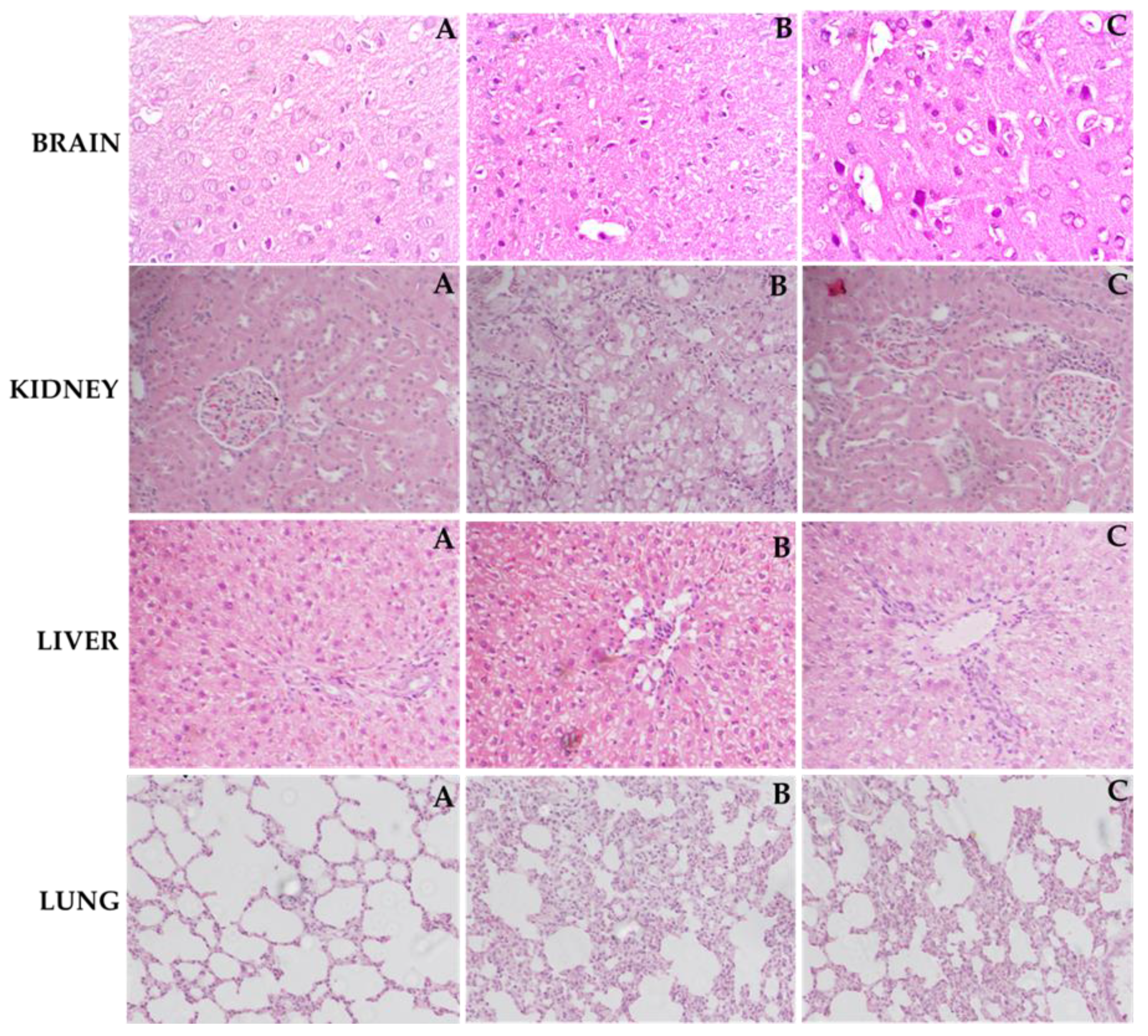 Molecules 25 05127 g008