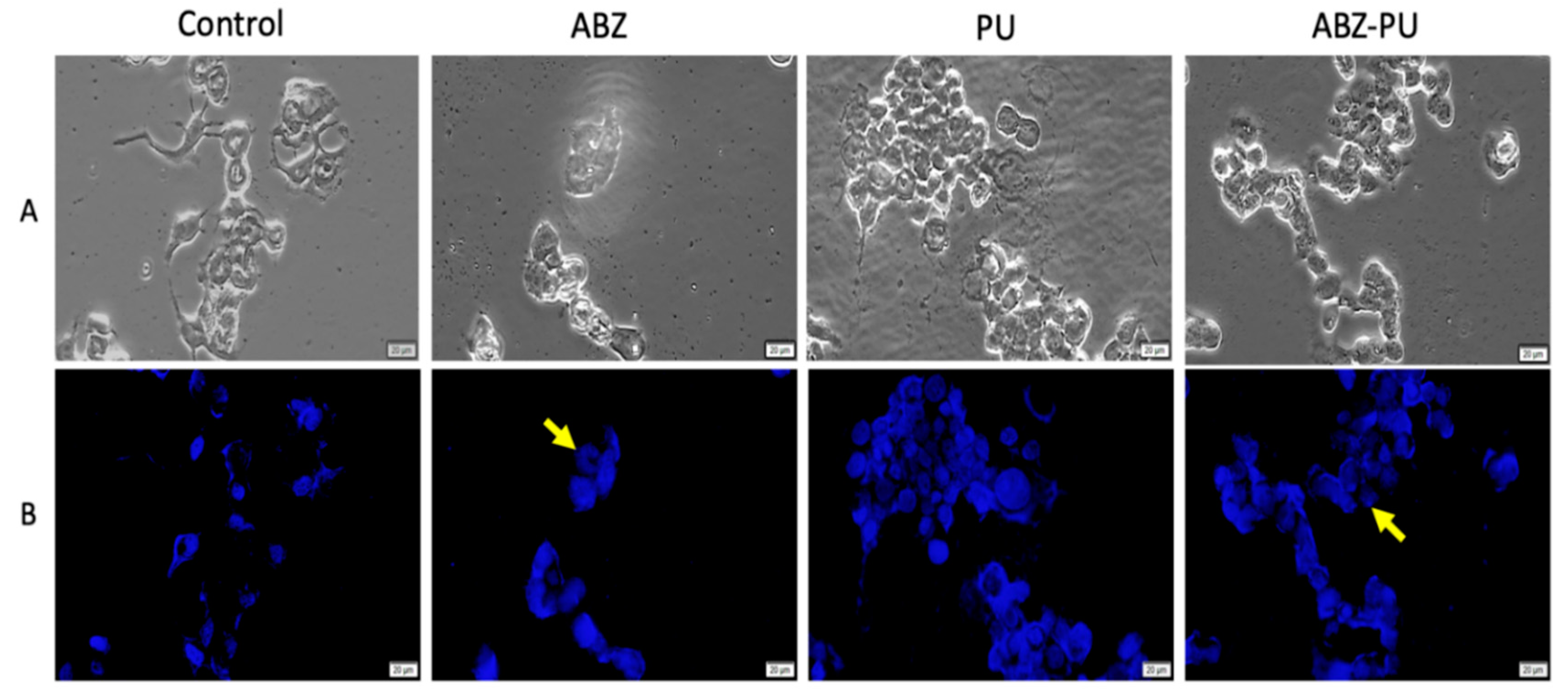 Molecules 25 05130 g011 Molecules 25 05130 g011