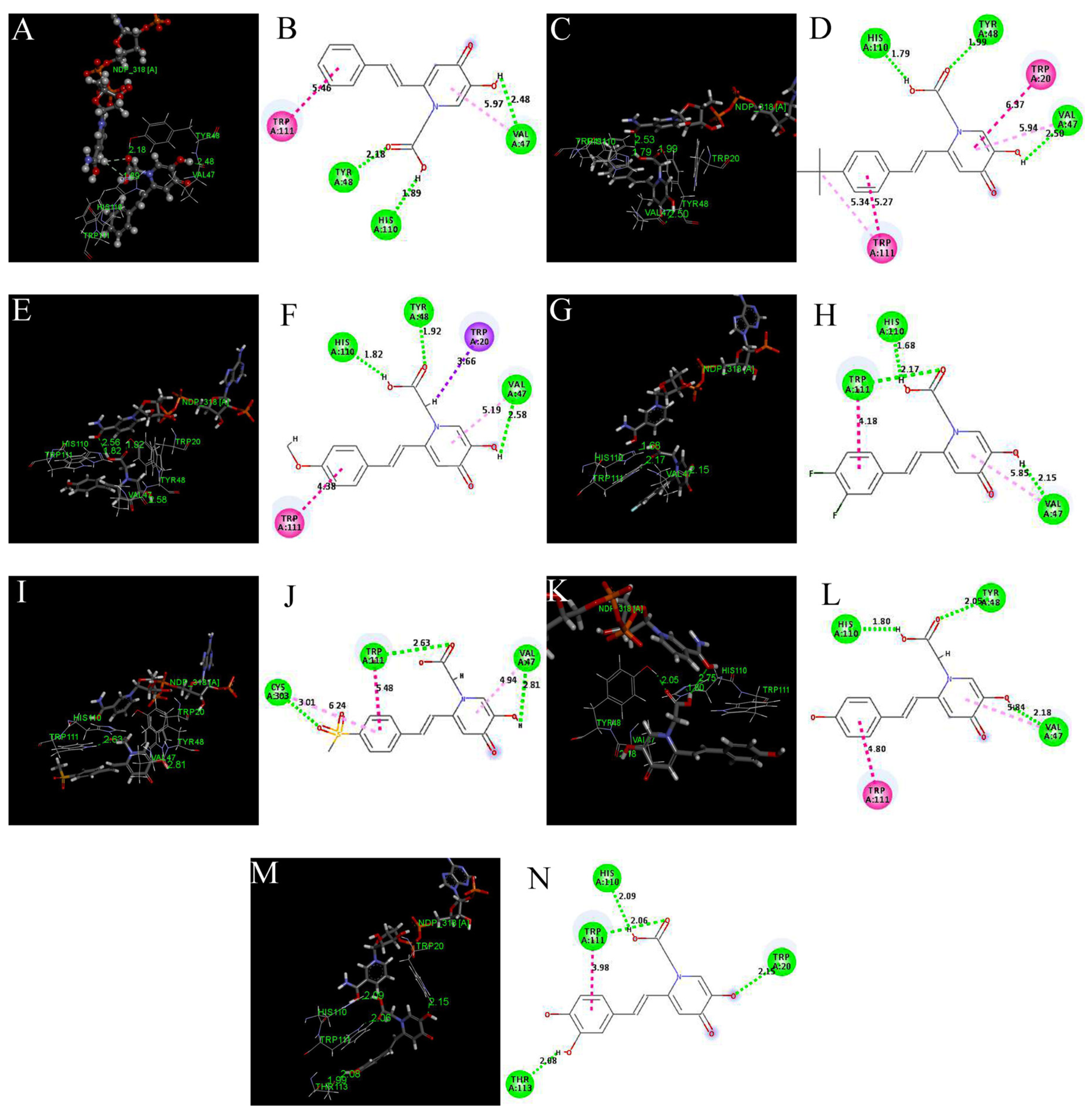 Molecules 25 05135 g002