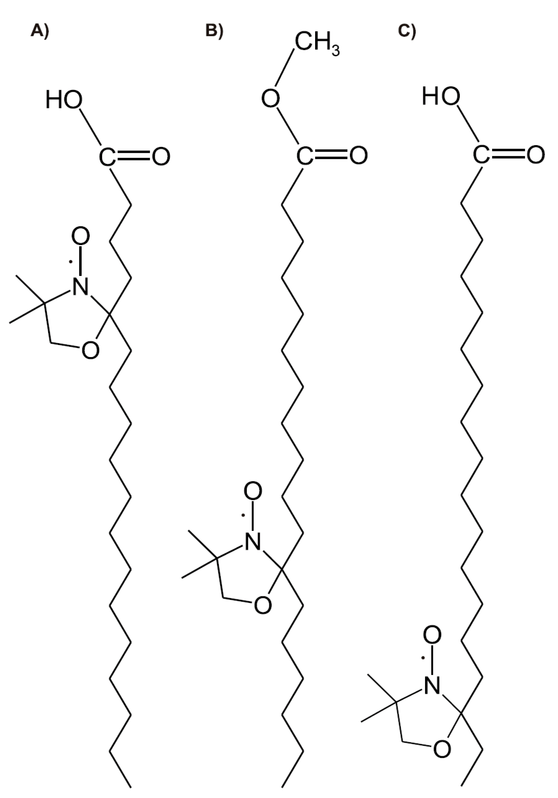 Molecules 25 05138 g001