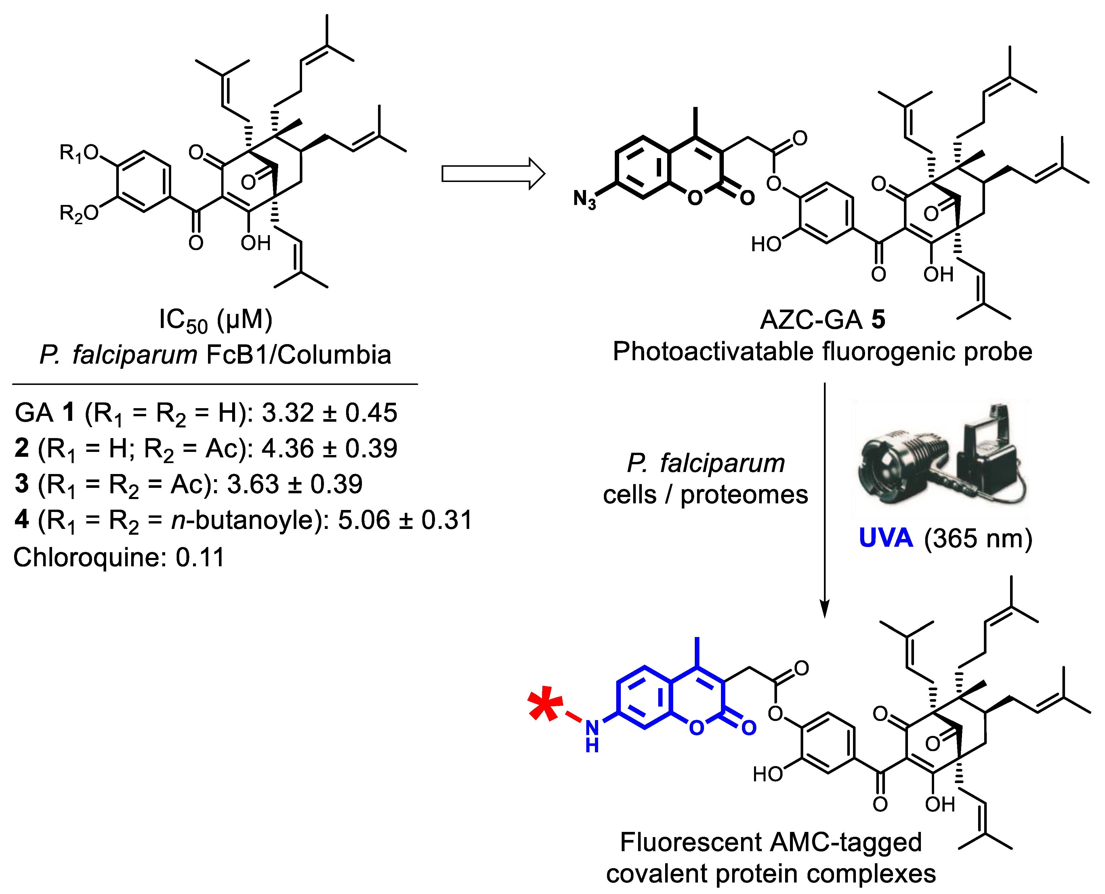 Molecules 25 05139 g002