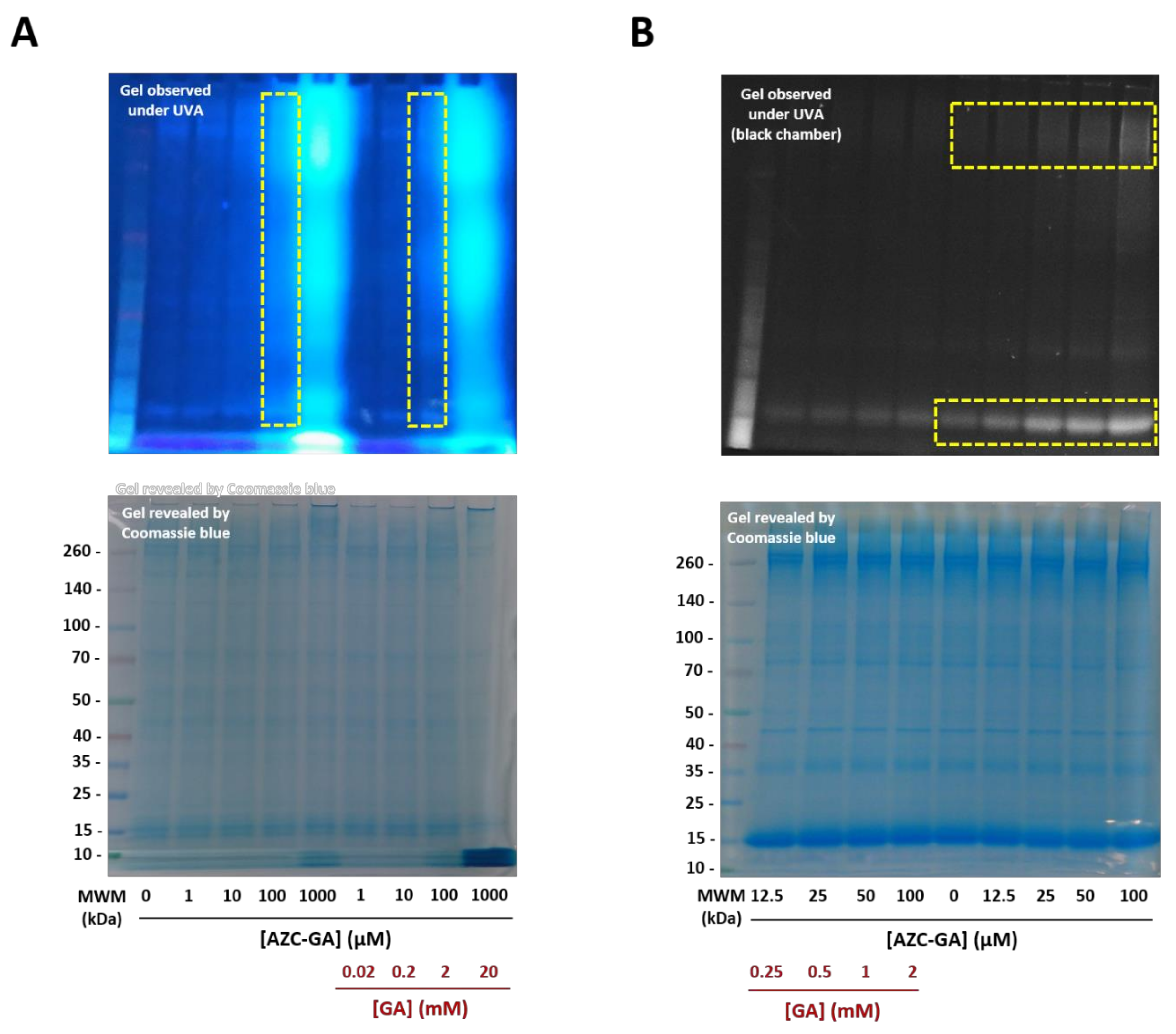 Molecules 25 05139 g006
