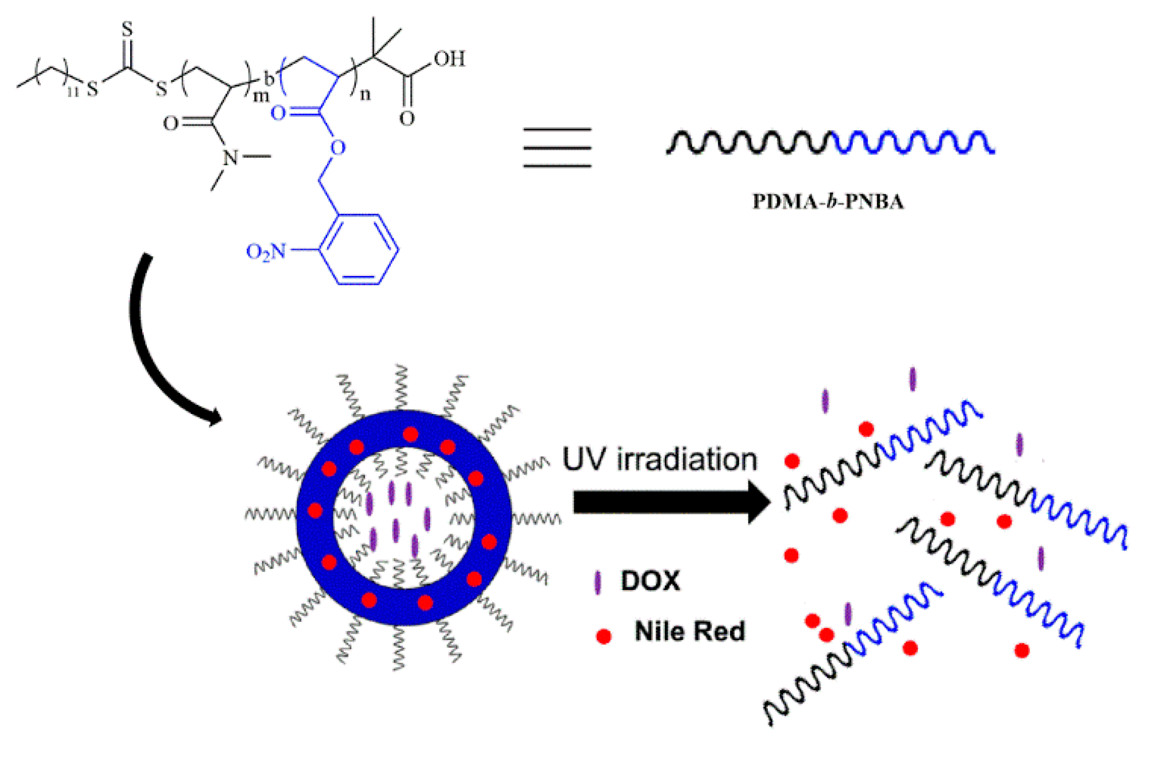 Molecules 25 05147 sch001