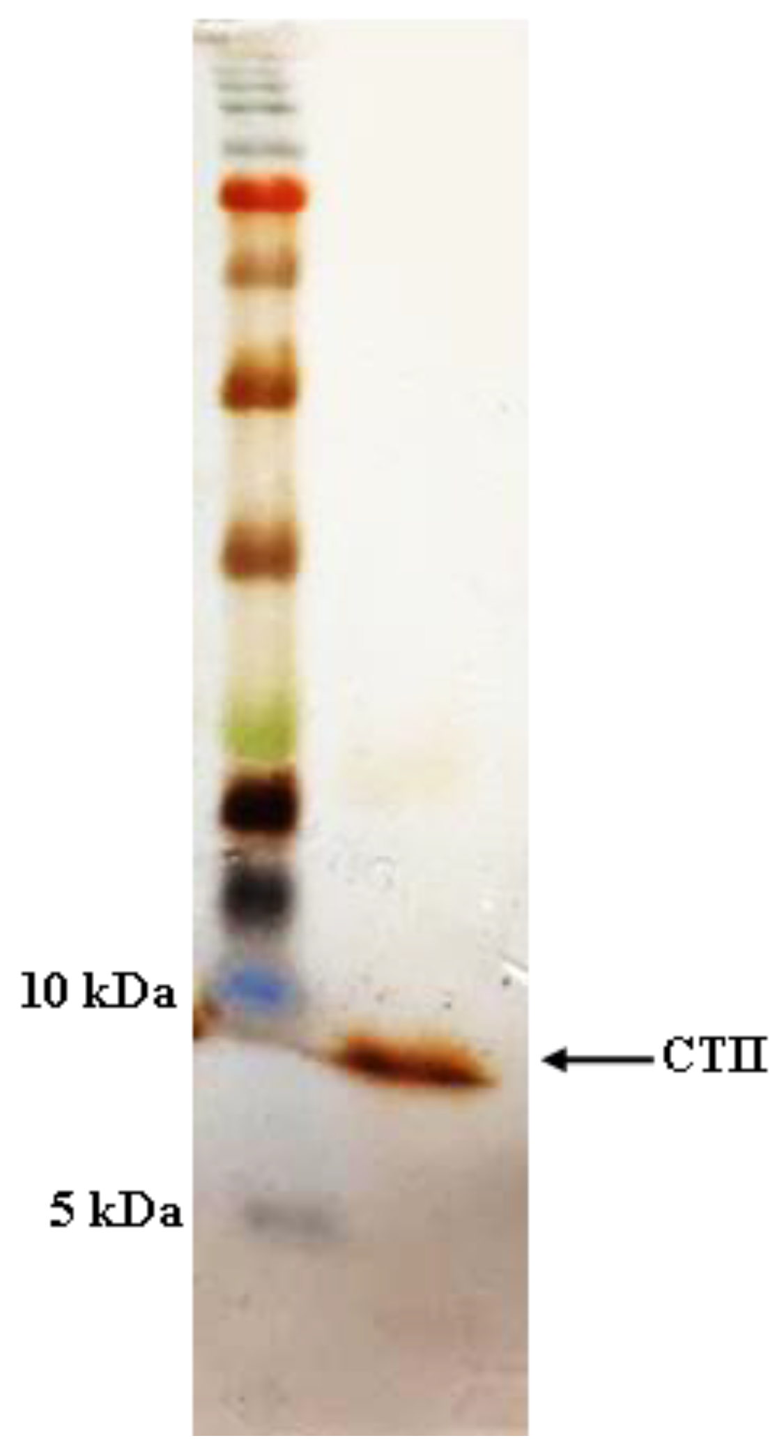 Molecules 25 05148 g001