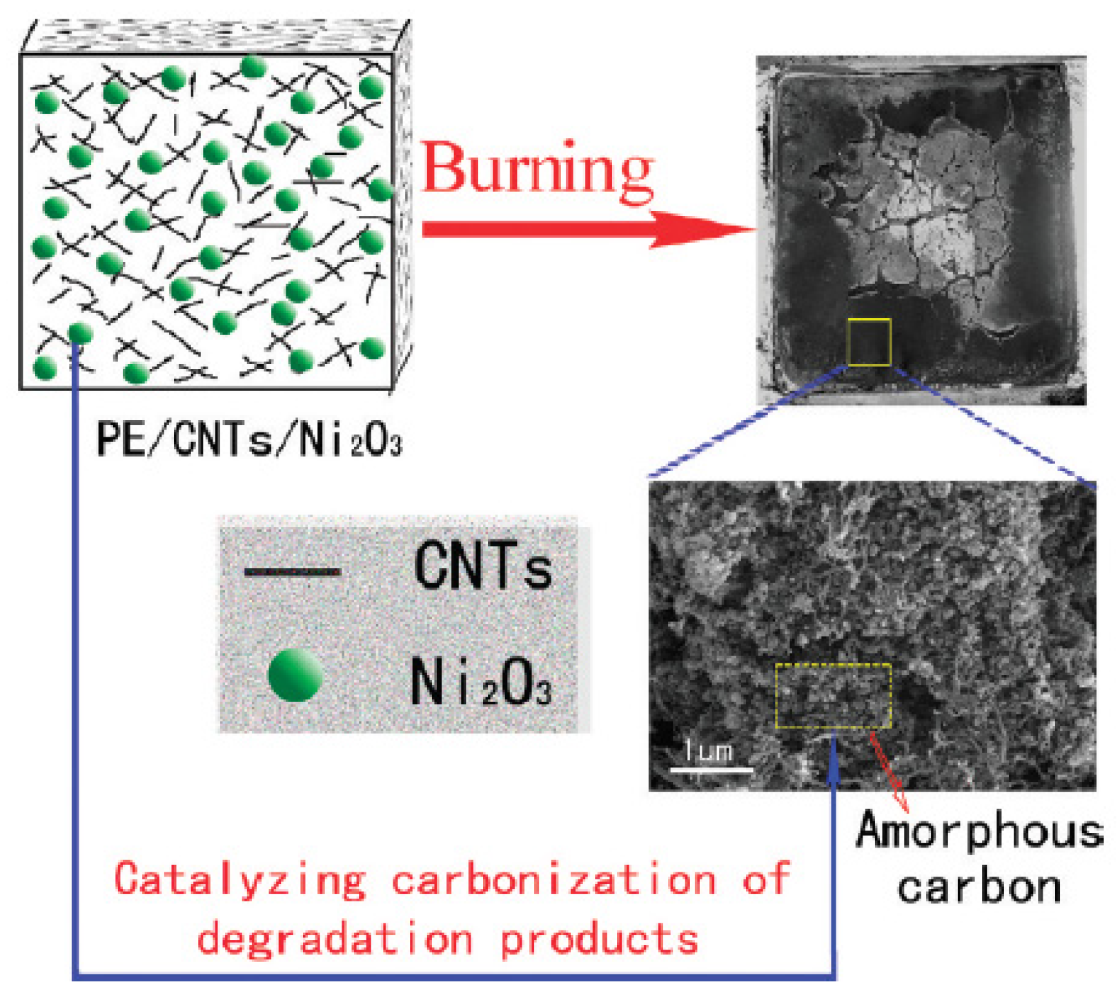 Molecules 25 05157 g006