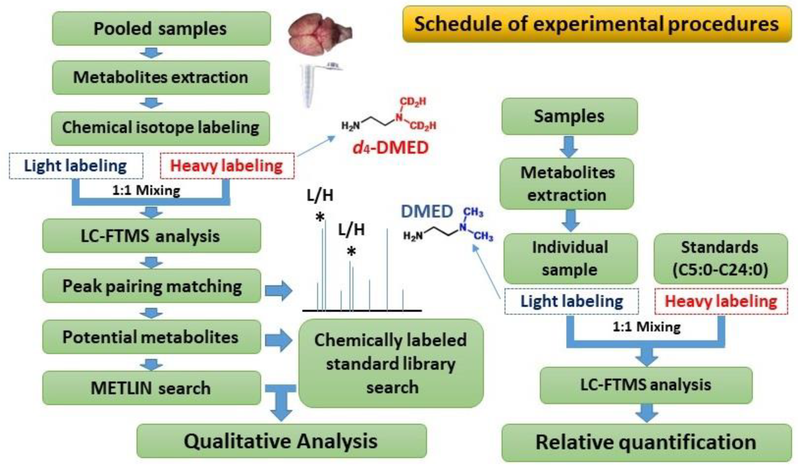Molecules 25 05163 g007 Molecules 25 05163 g007