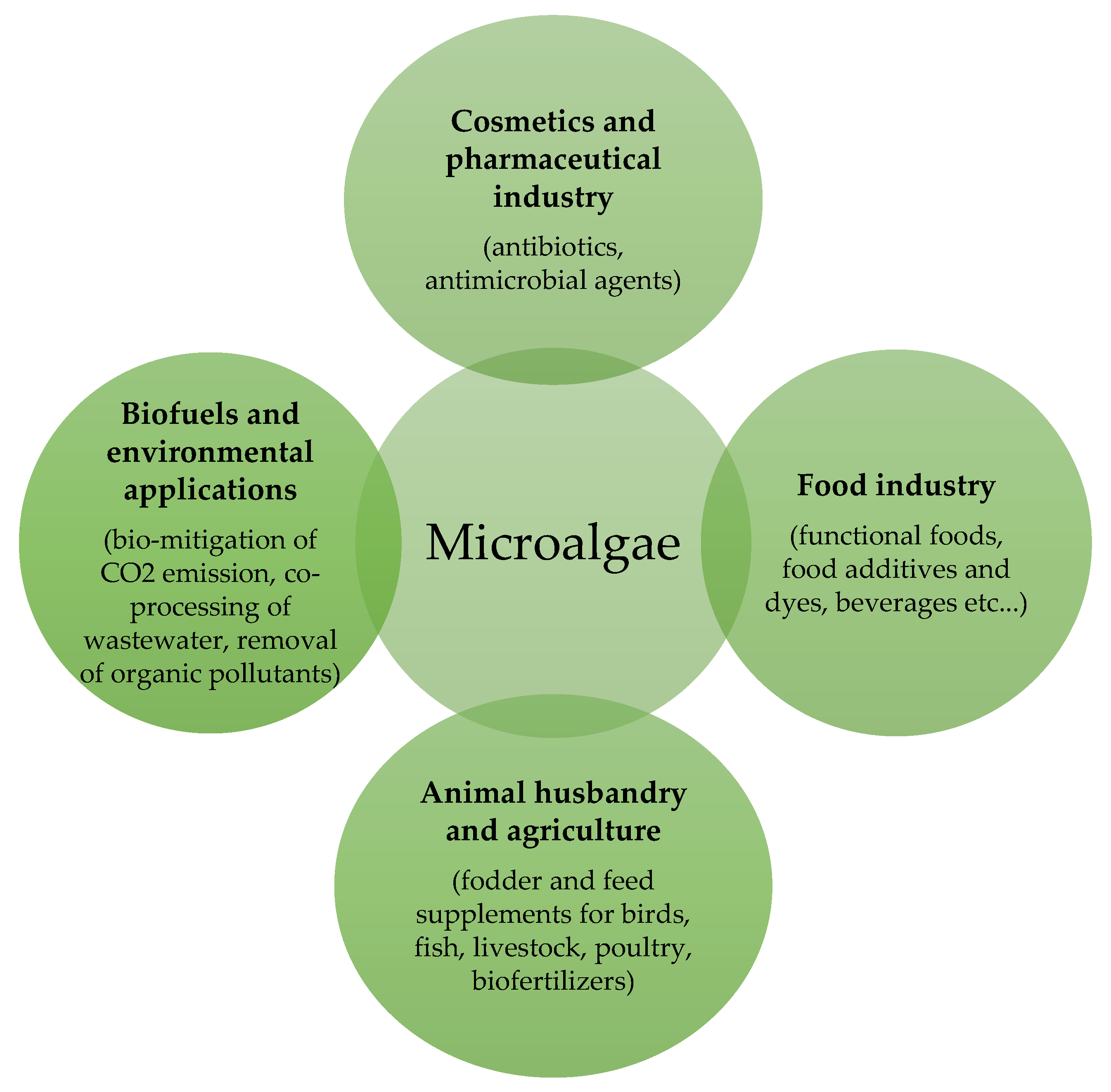 Molecules 25 05164 g001 Molecules 25 05164 g001