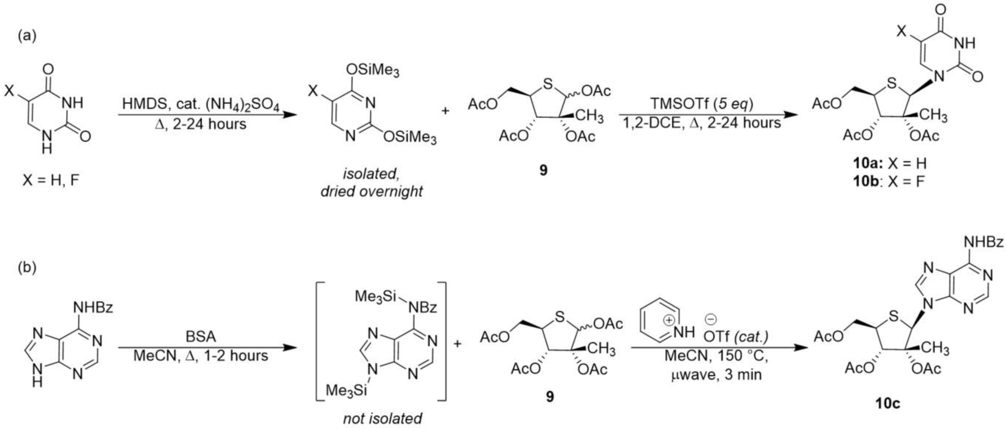 Molecules 25 05165 sch002