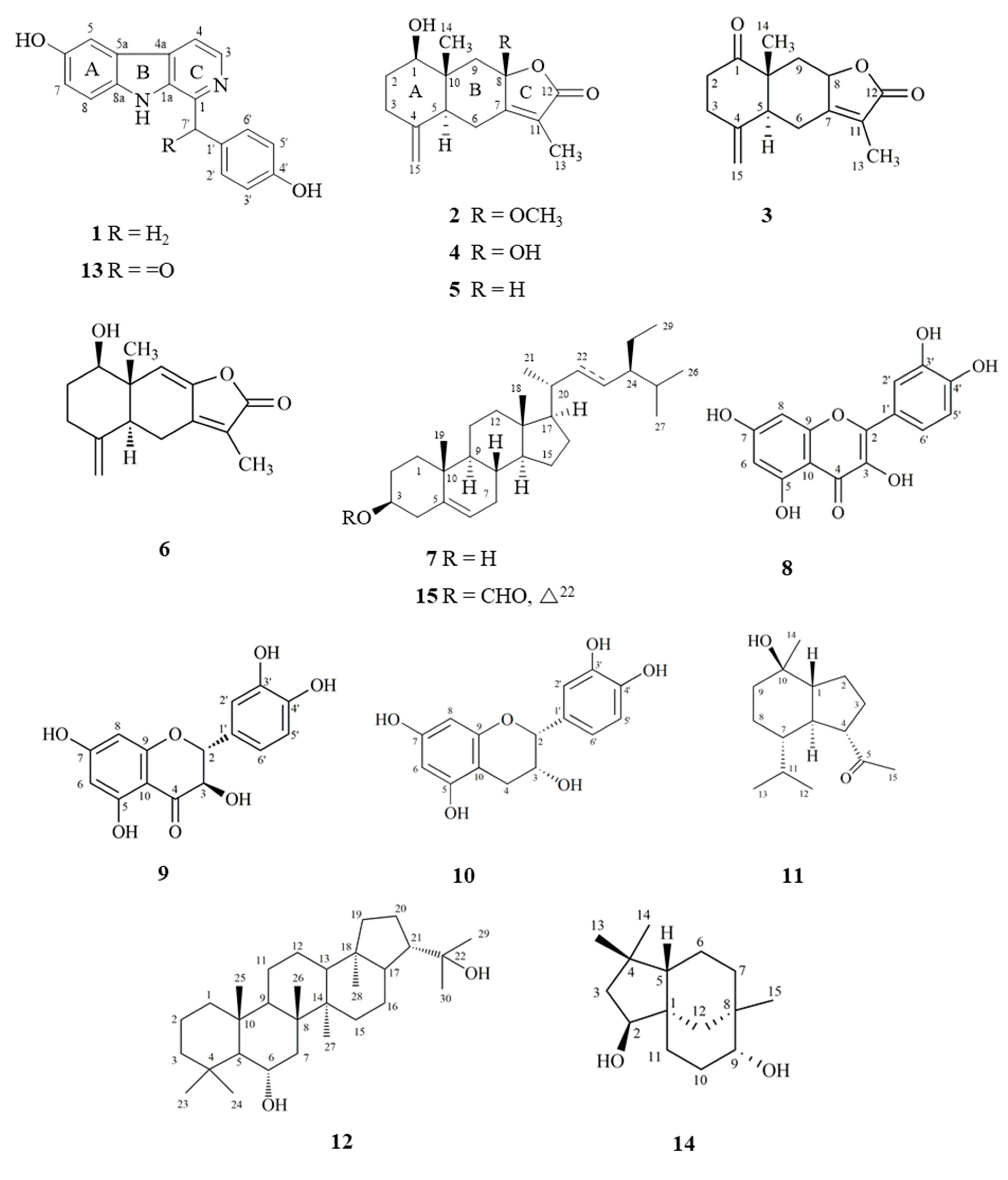 Molecules 25 05170 g001