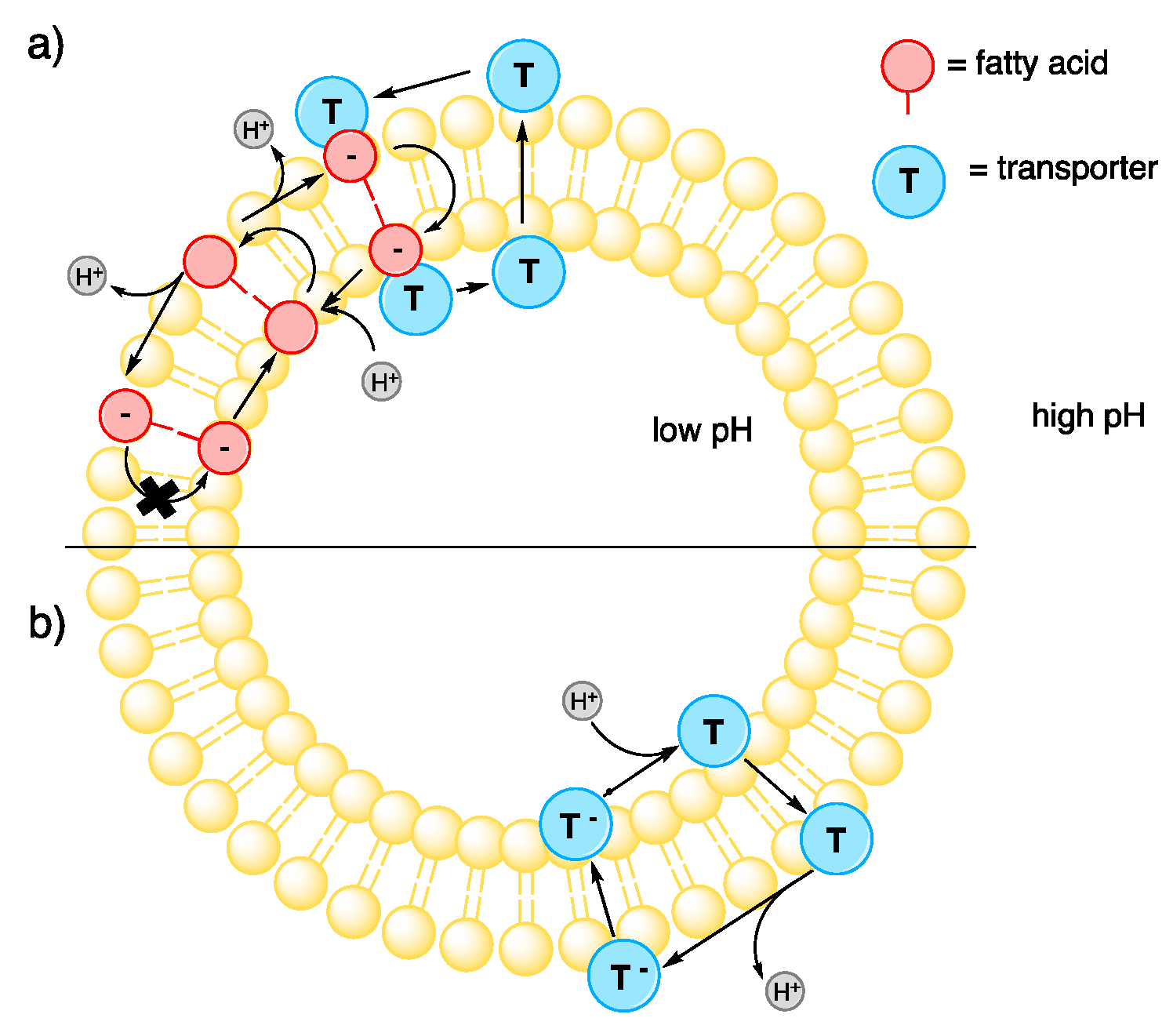 Molecules 25 05179 g001 Molecules 25 05179 g001