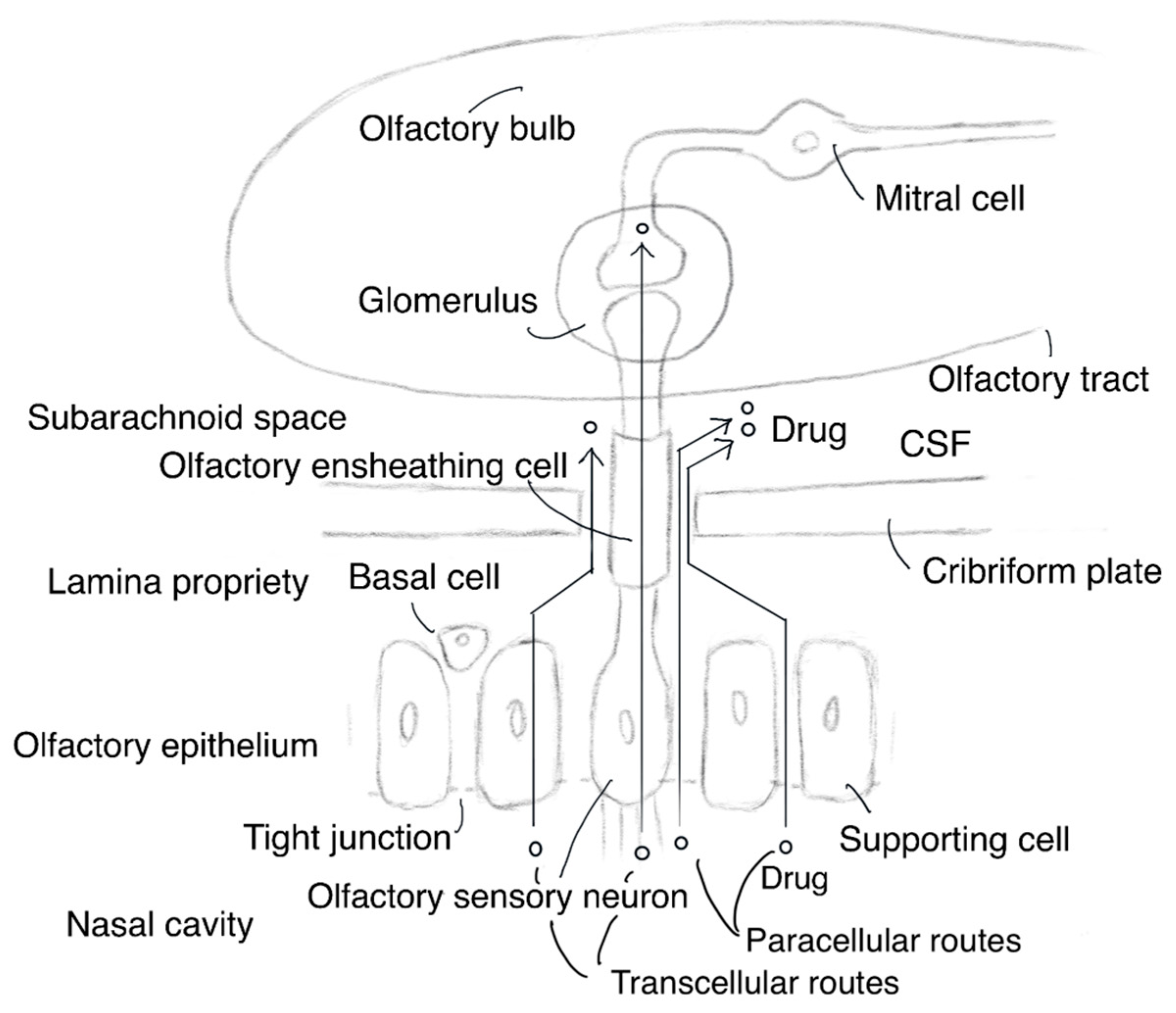 Molecules 25 05188 g002