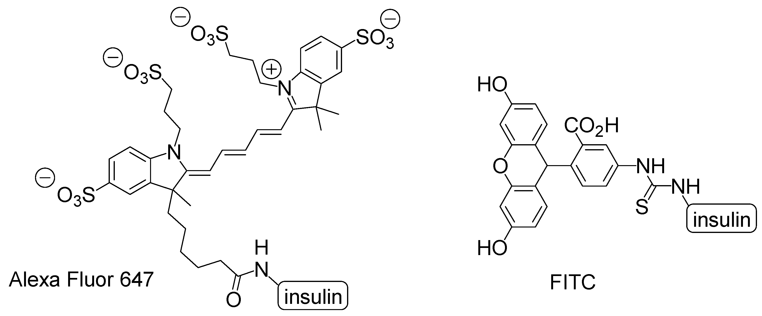 Molecules 25 05188 g006