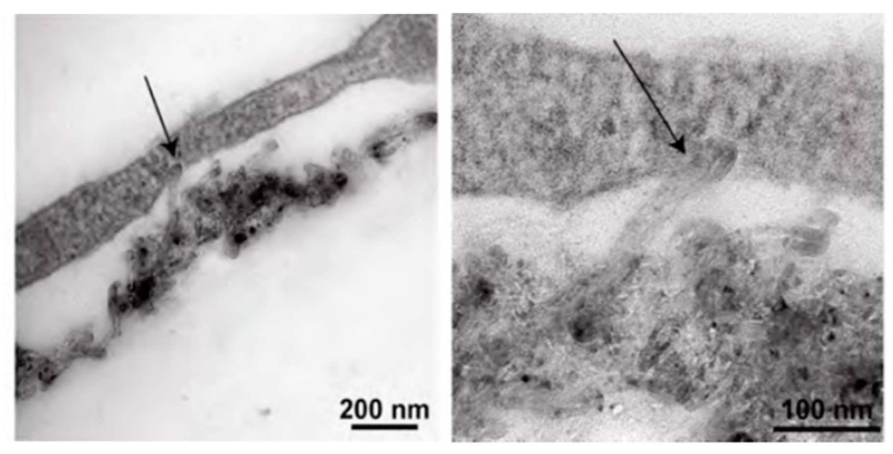 Molecules 25 05189 g001