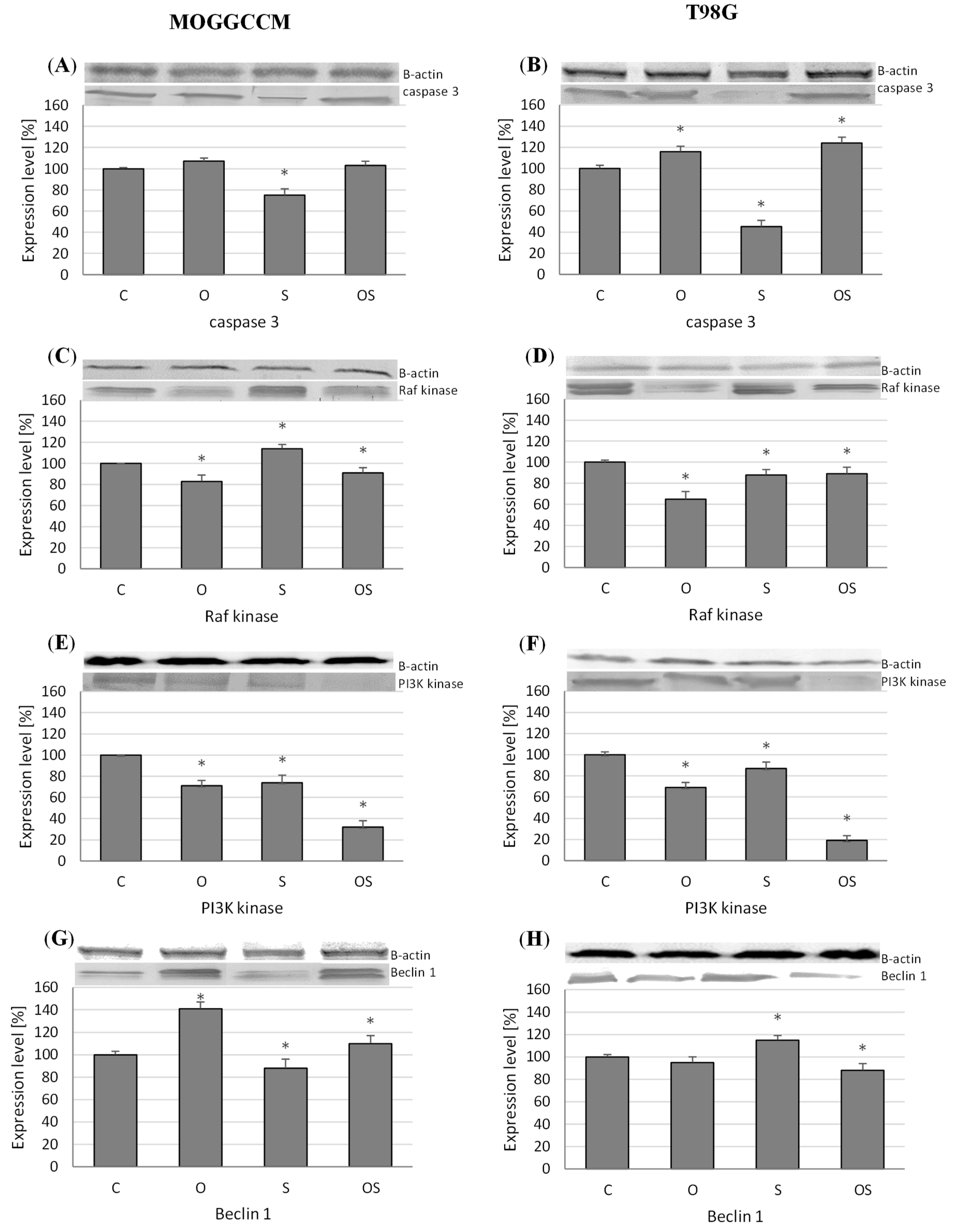 Molecules 25 05192 g004 Molecules 25 05192 g004