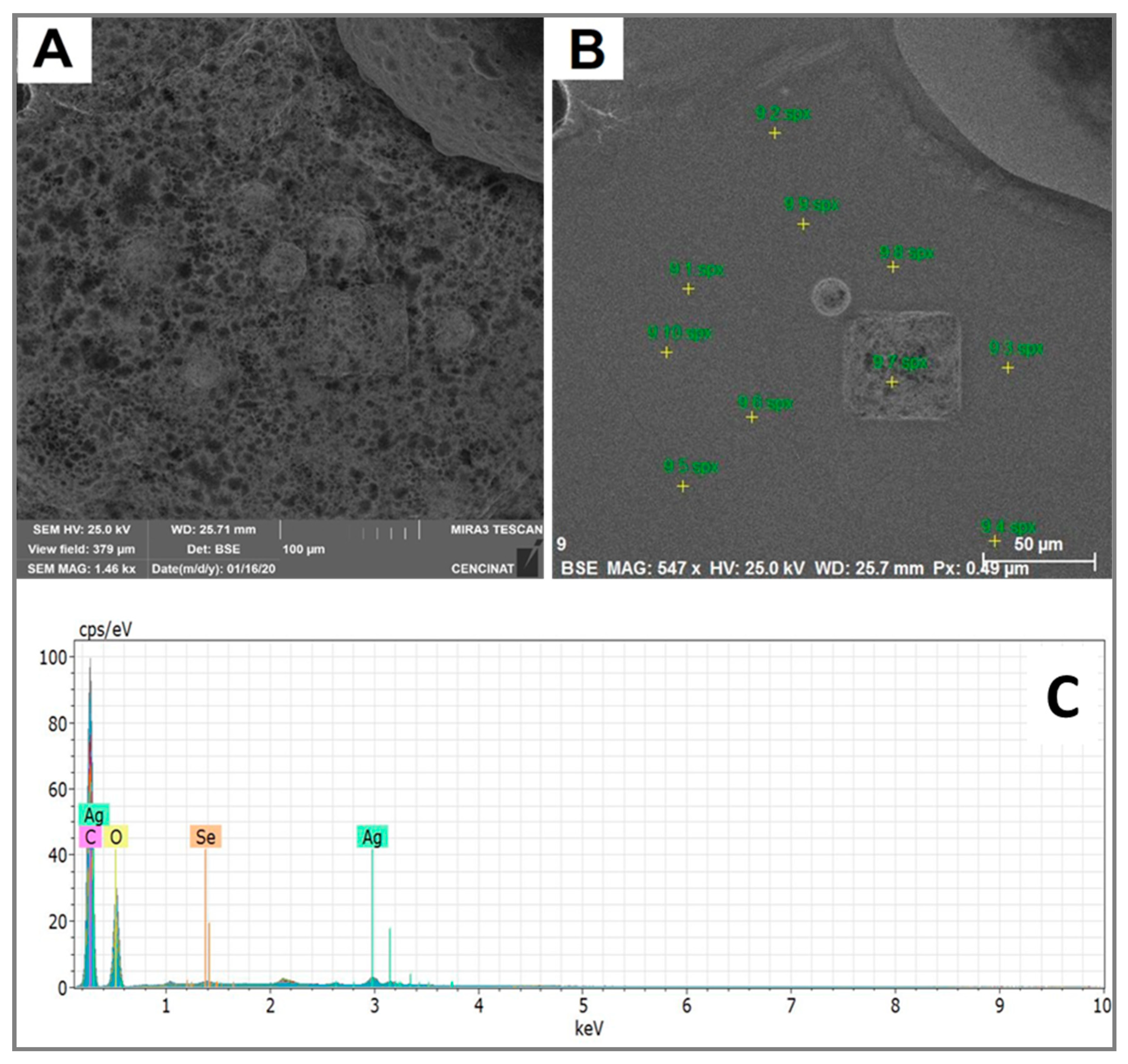 Molecules 25 05193 g008